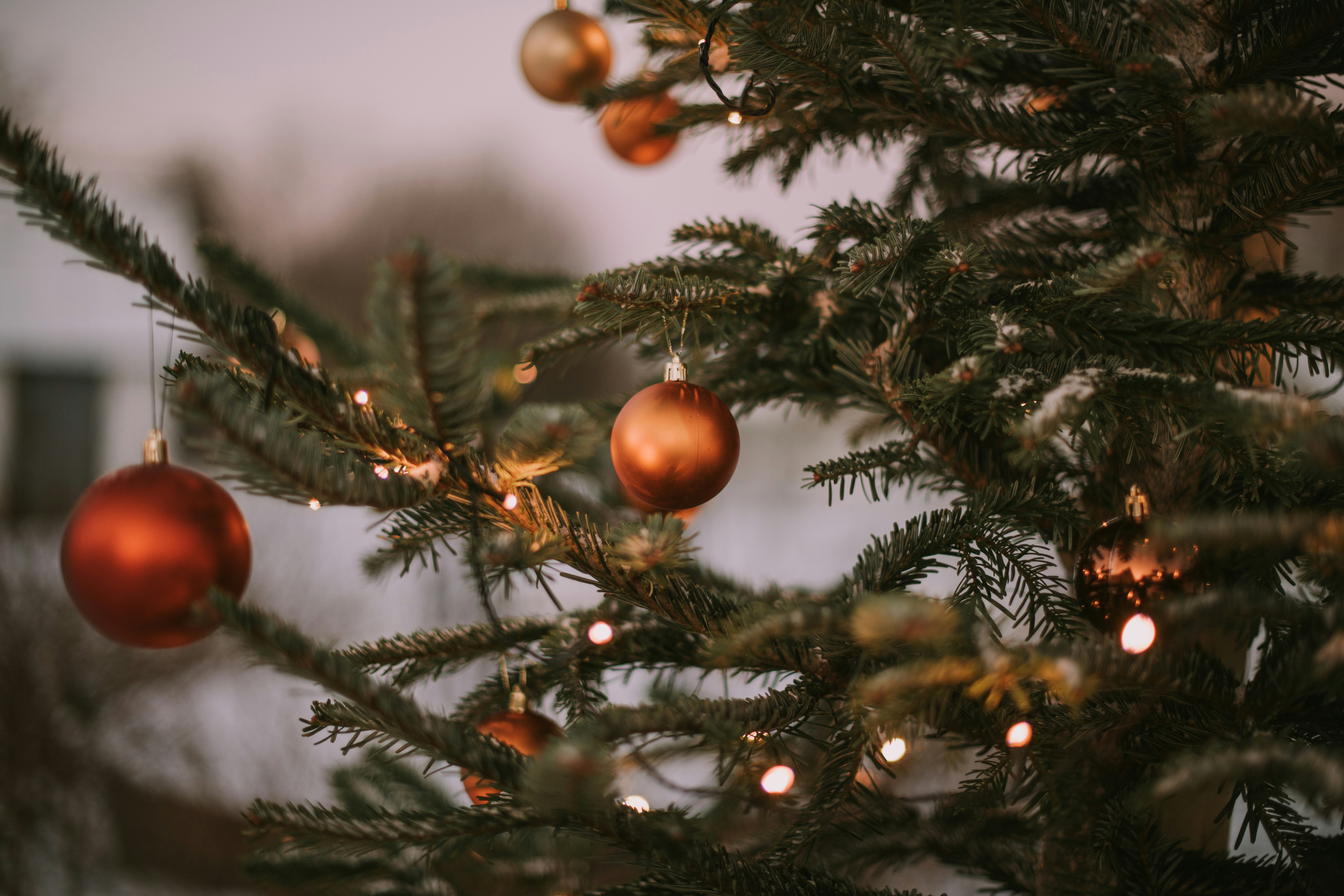 Photo by anitaaustvika