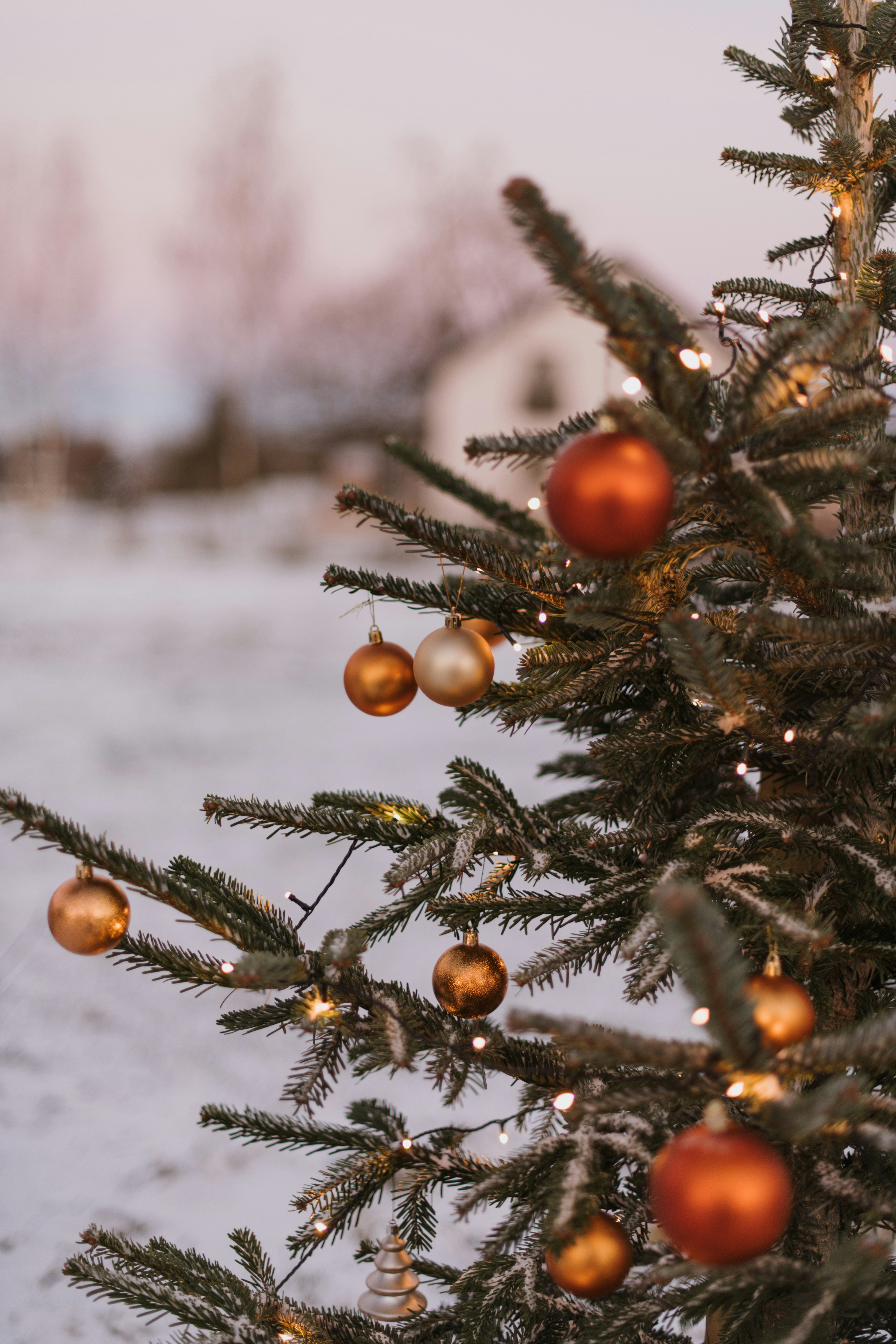 Photo by anitaaustvika