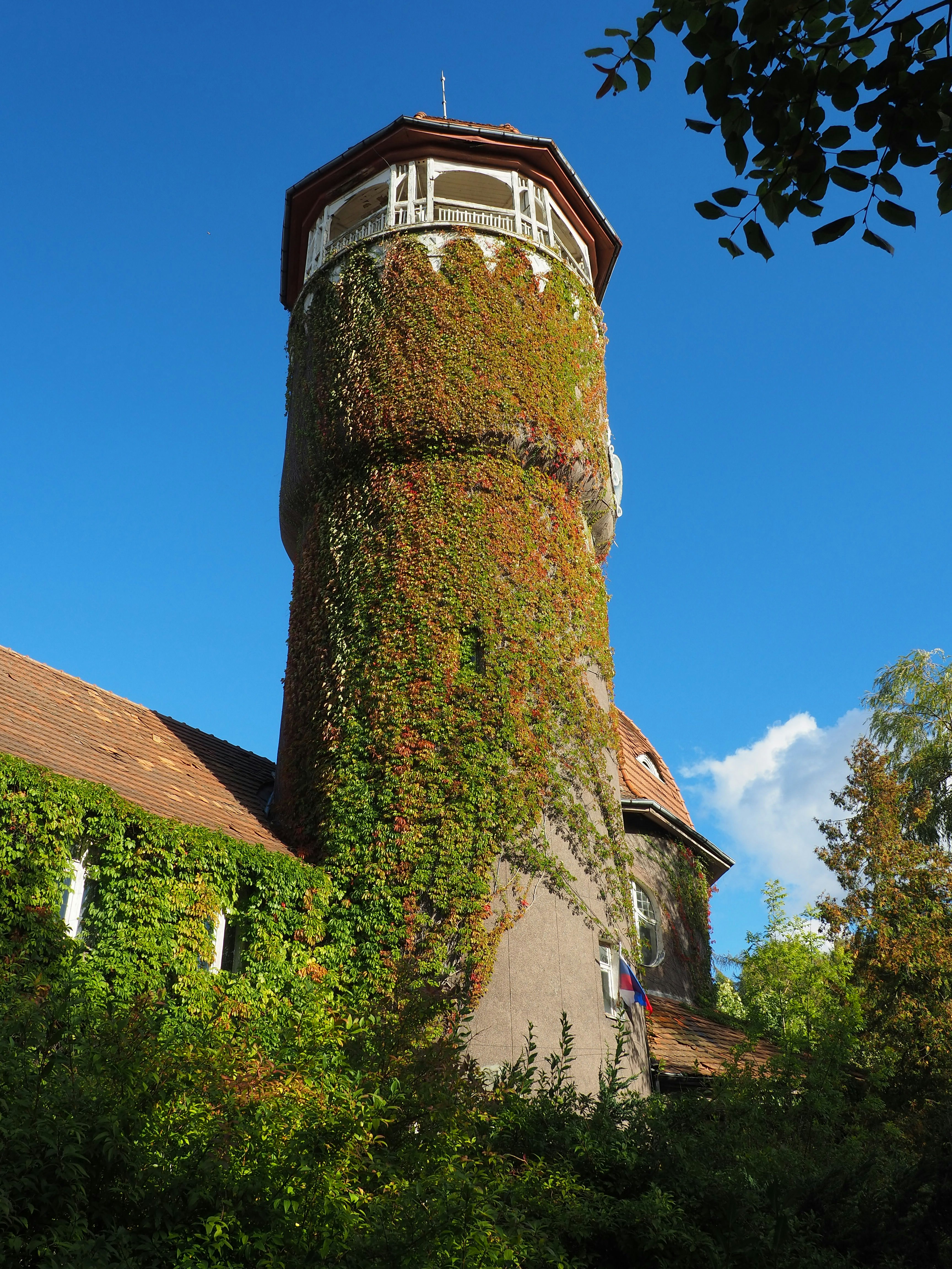 A tall tower with vines growing on it