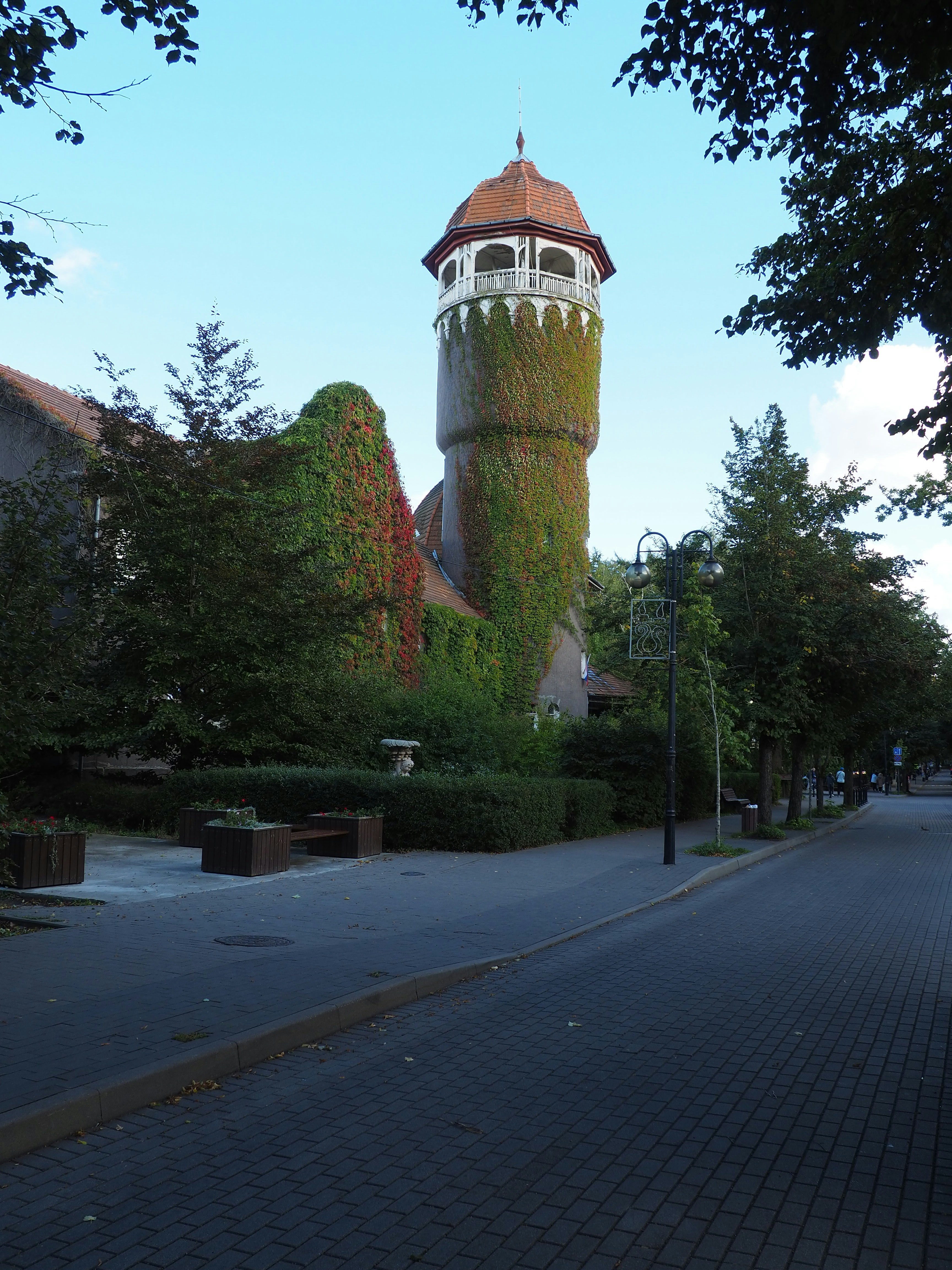 Photo by devgkz