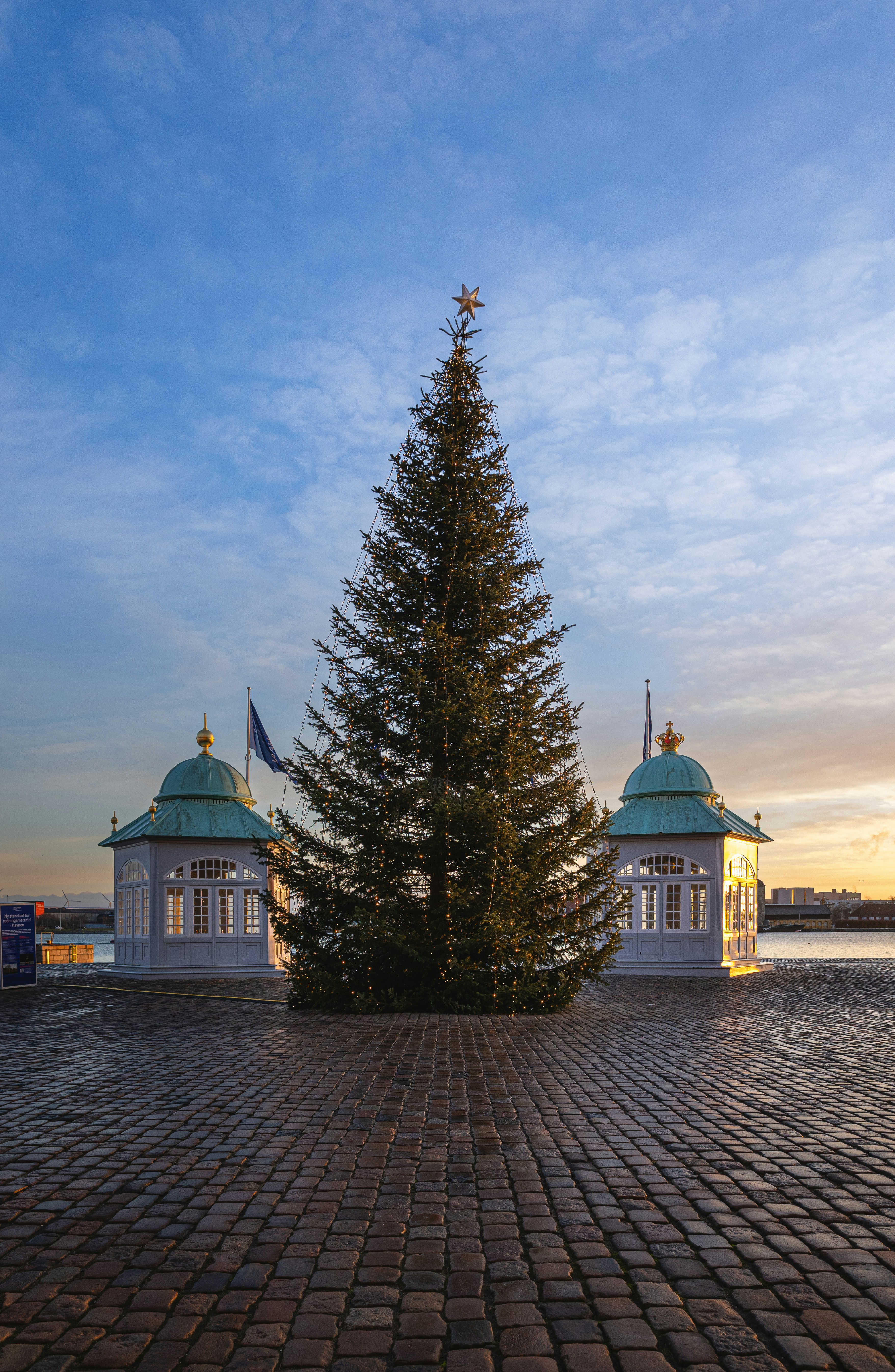 A large christmas tree sitting on top of a brick road