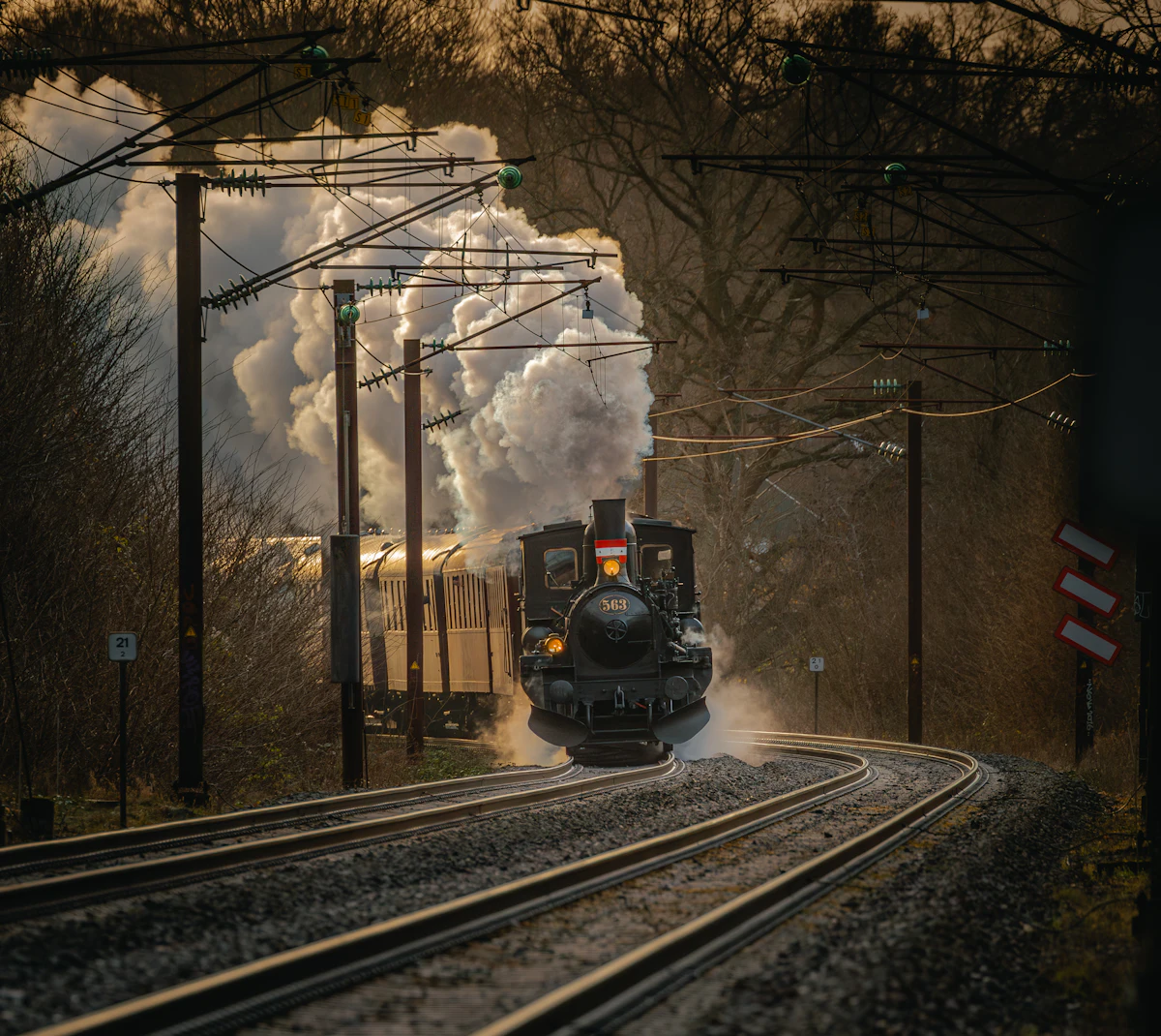 Trein die door een bos rijdt