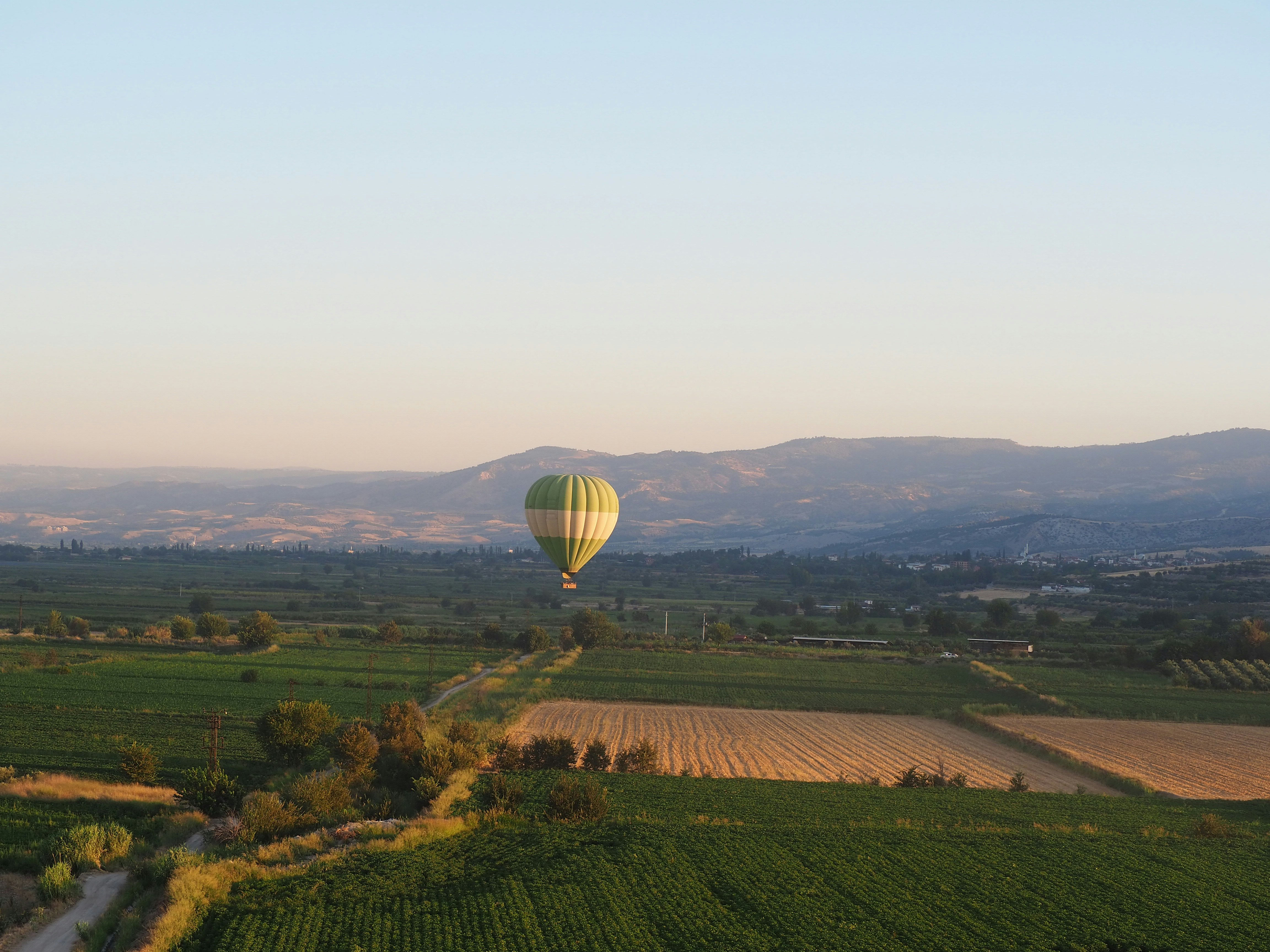 A hot air balloon flying over a lush green field