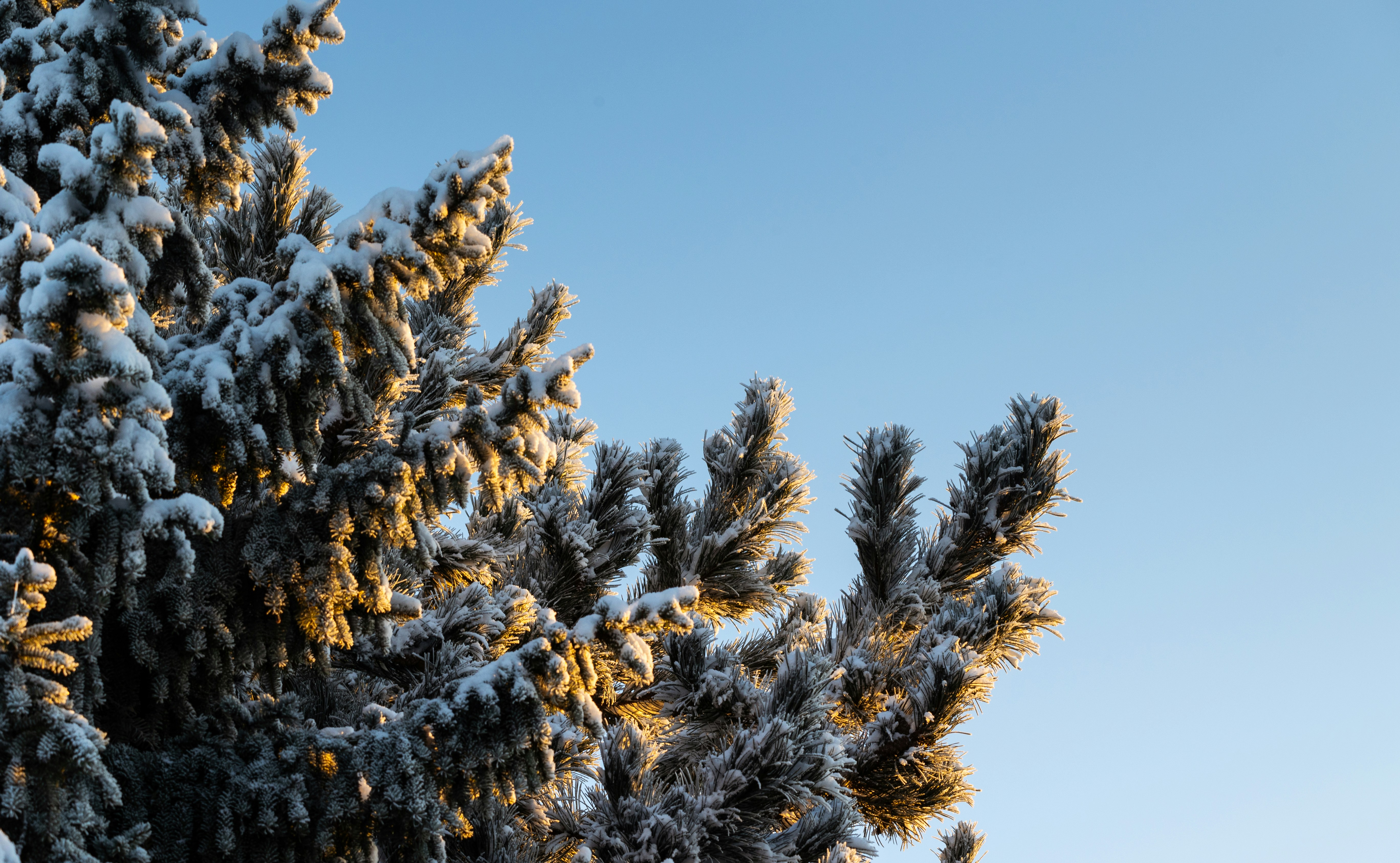 Photo by marekpiwnicki