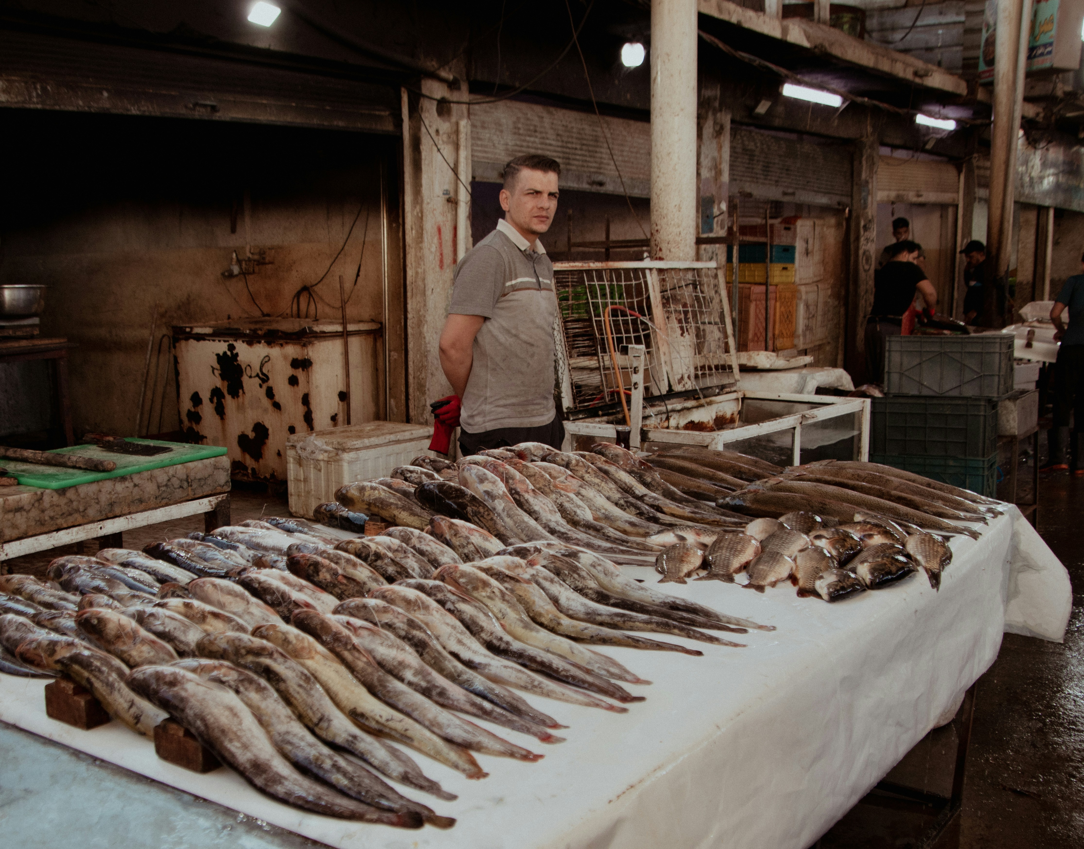 A man standing in front of a table full of fish