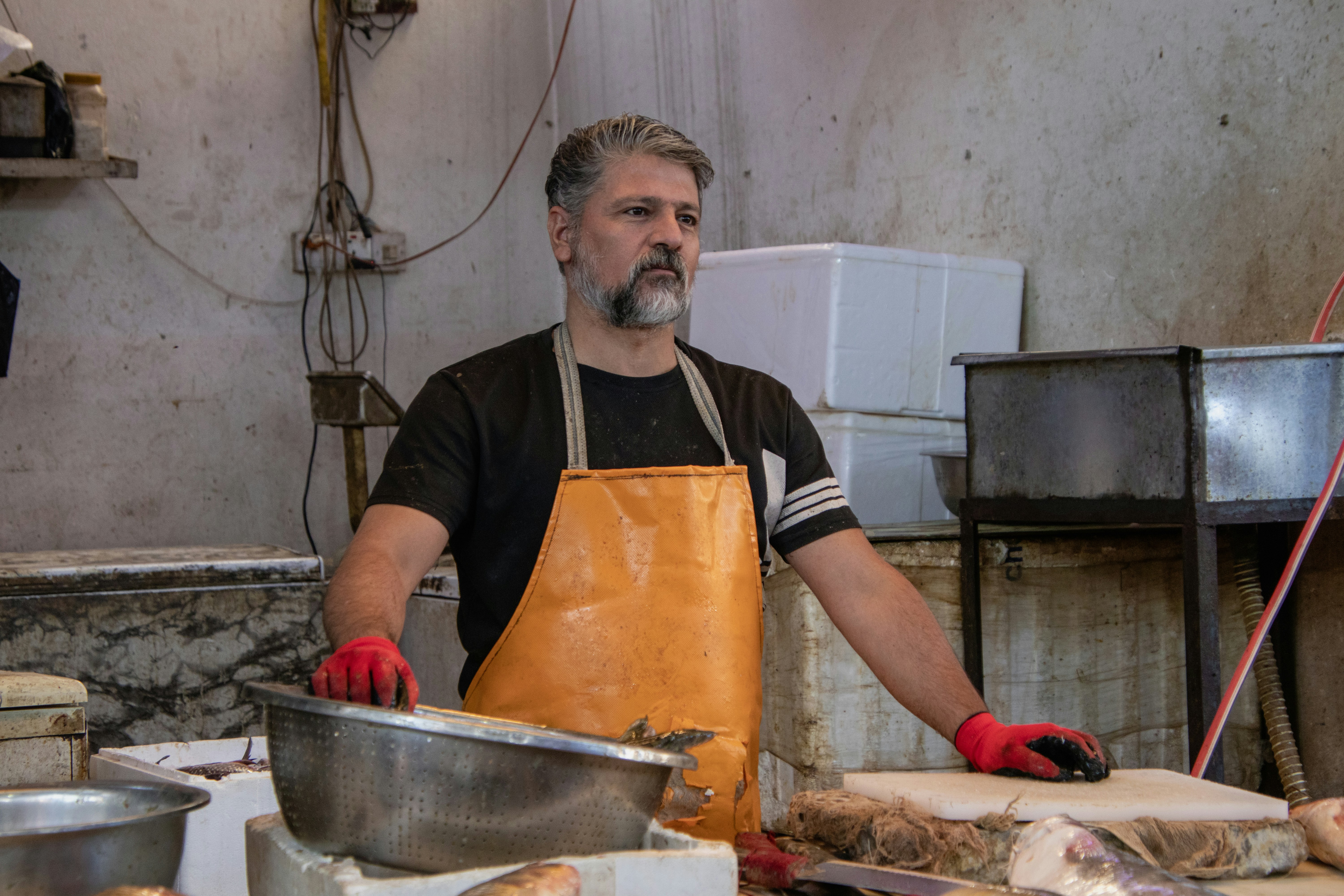 Image by Tatiana Mokhova via Unsplash