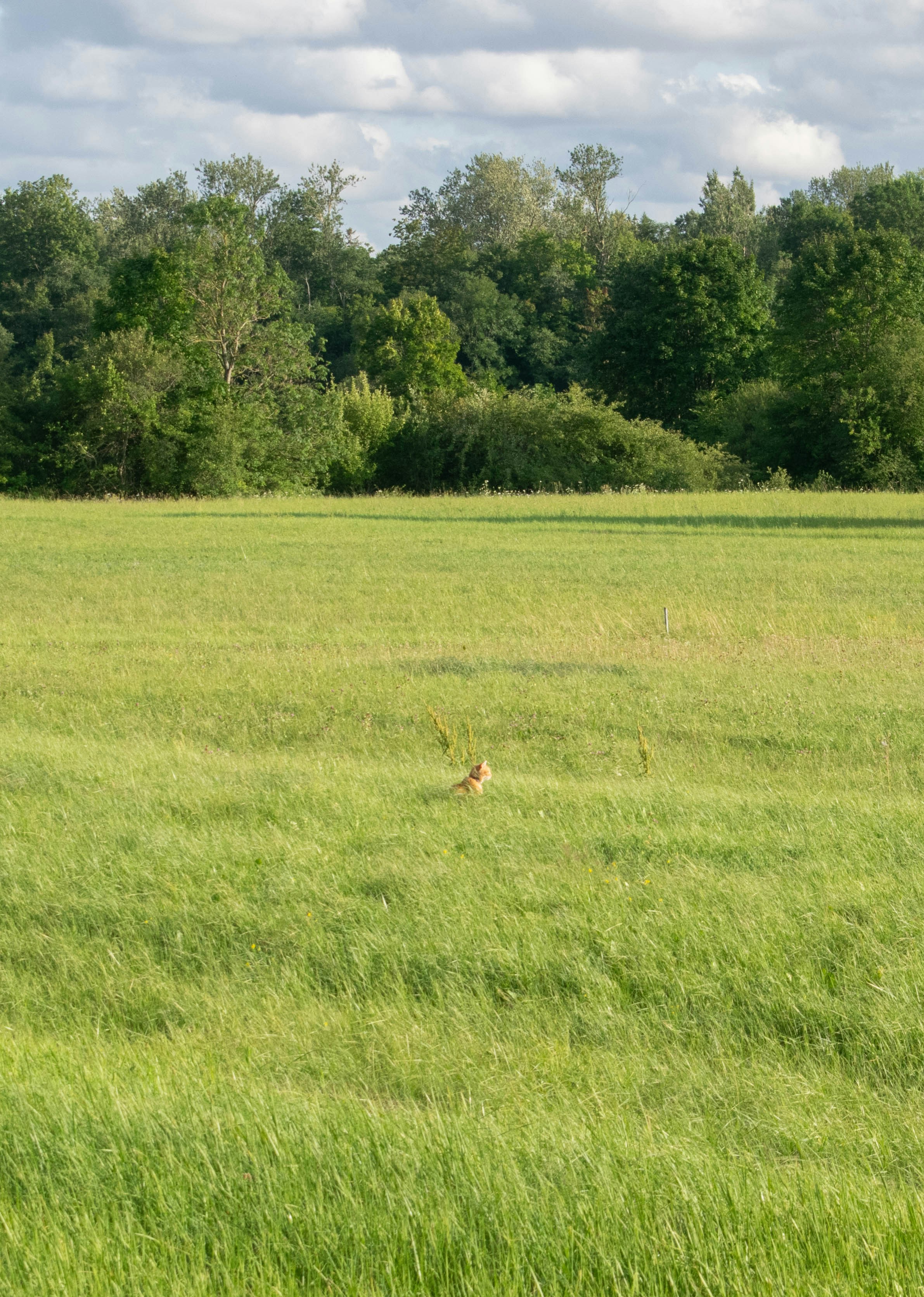 Photo by alexandre13