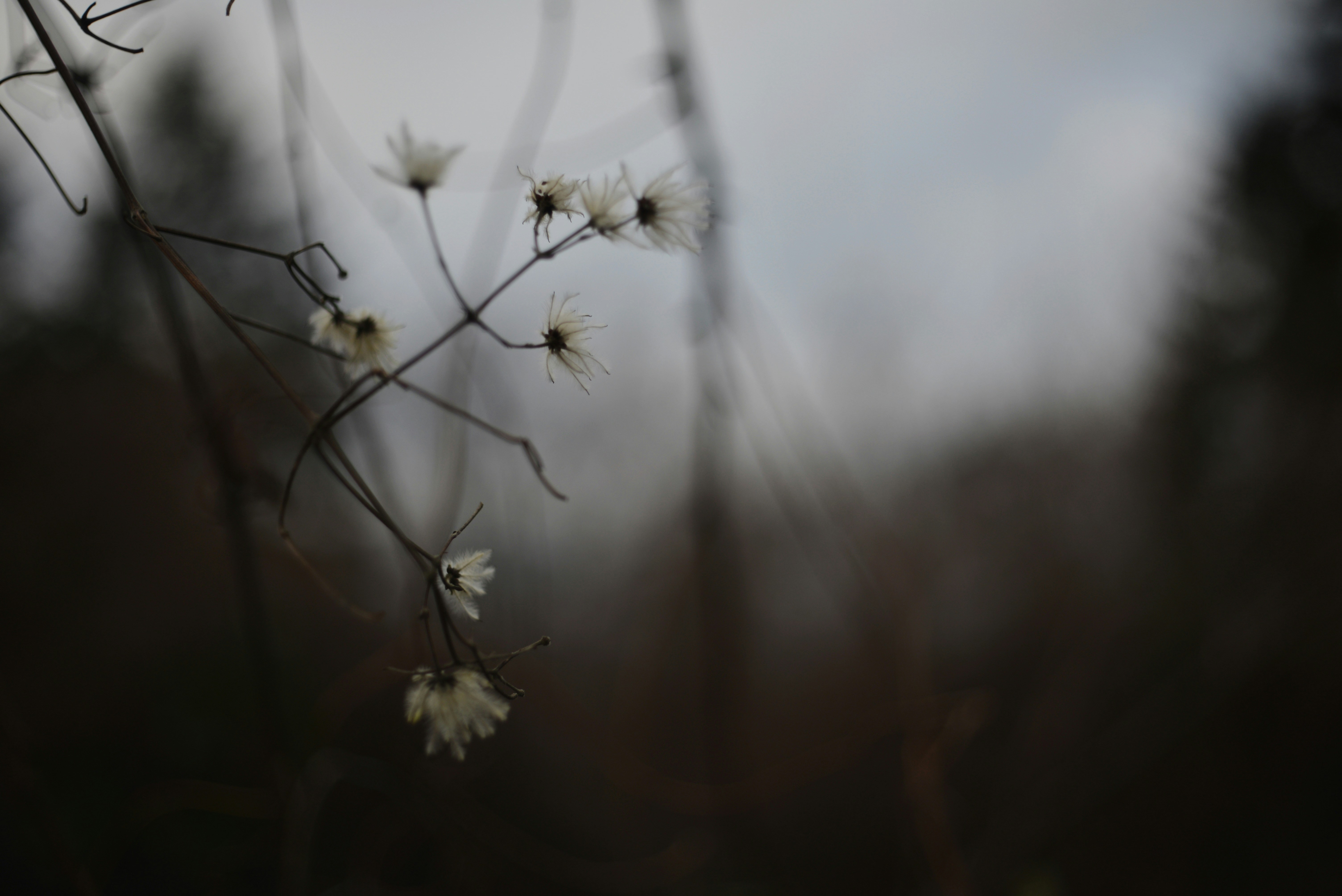 Photo by cherstve_pechivo