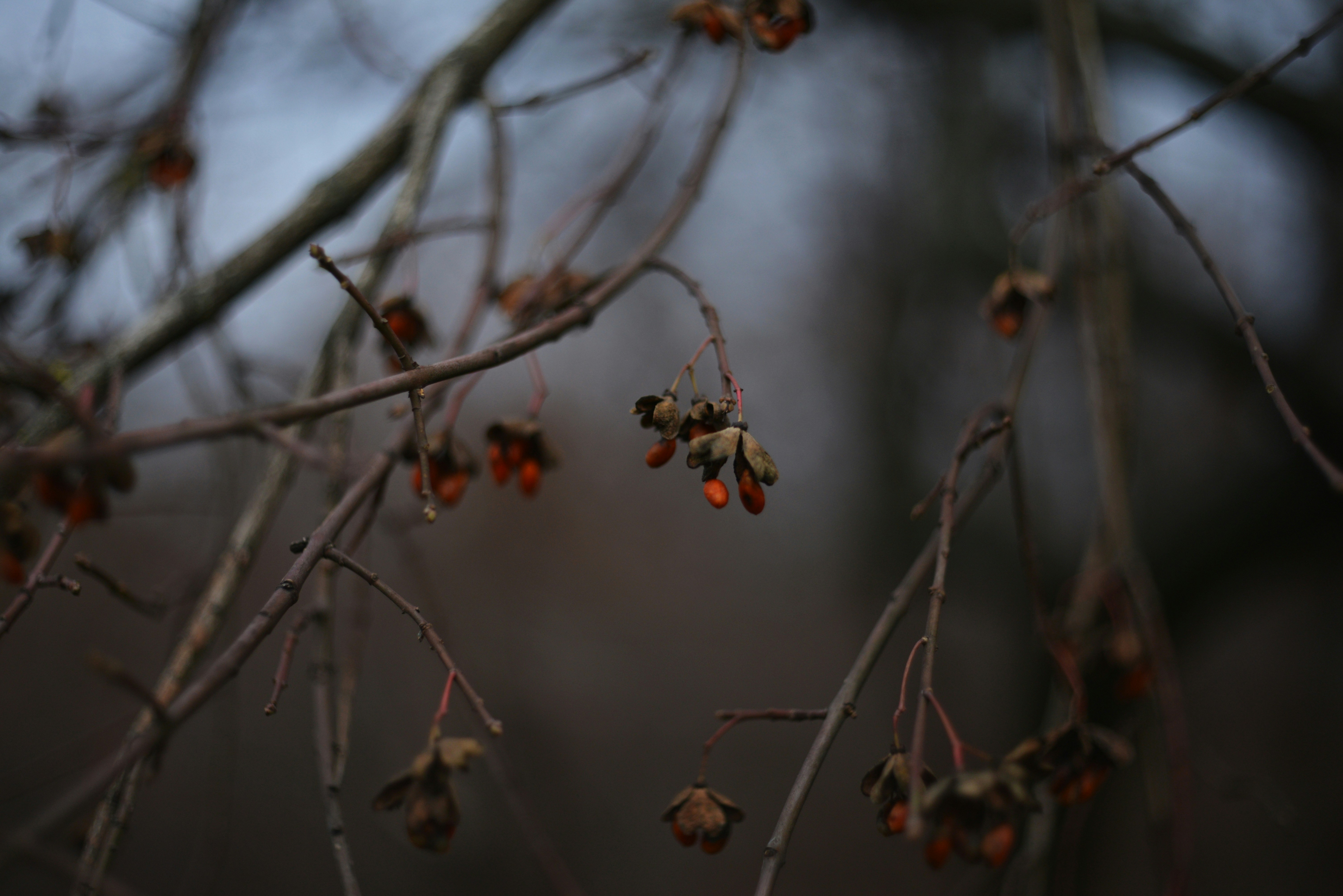 Photo by cherstve_pechivo