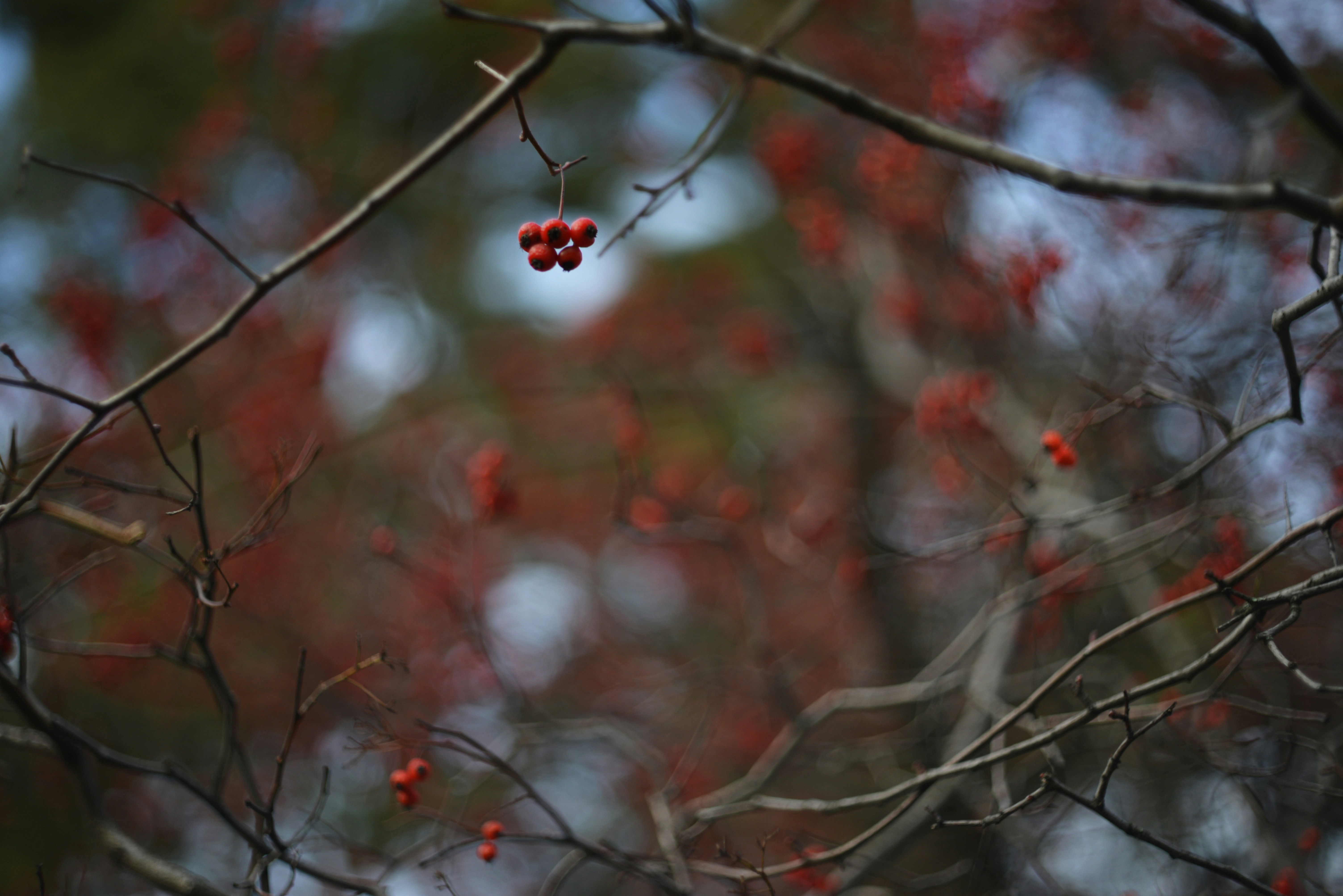 Photo by cherstve_pechivo