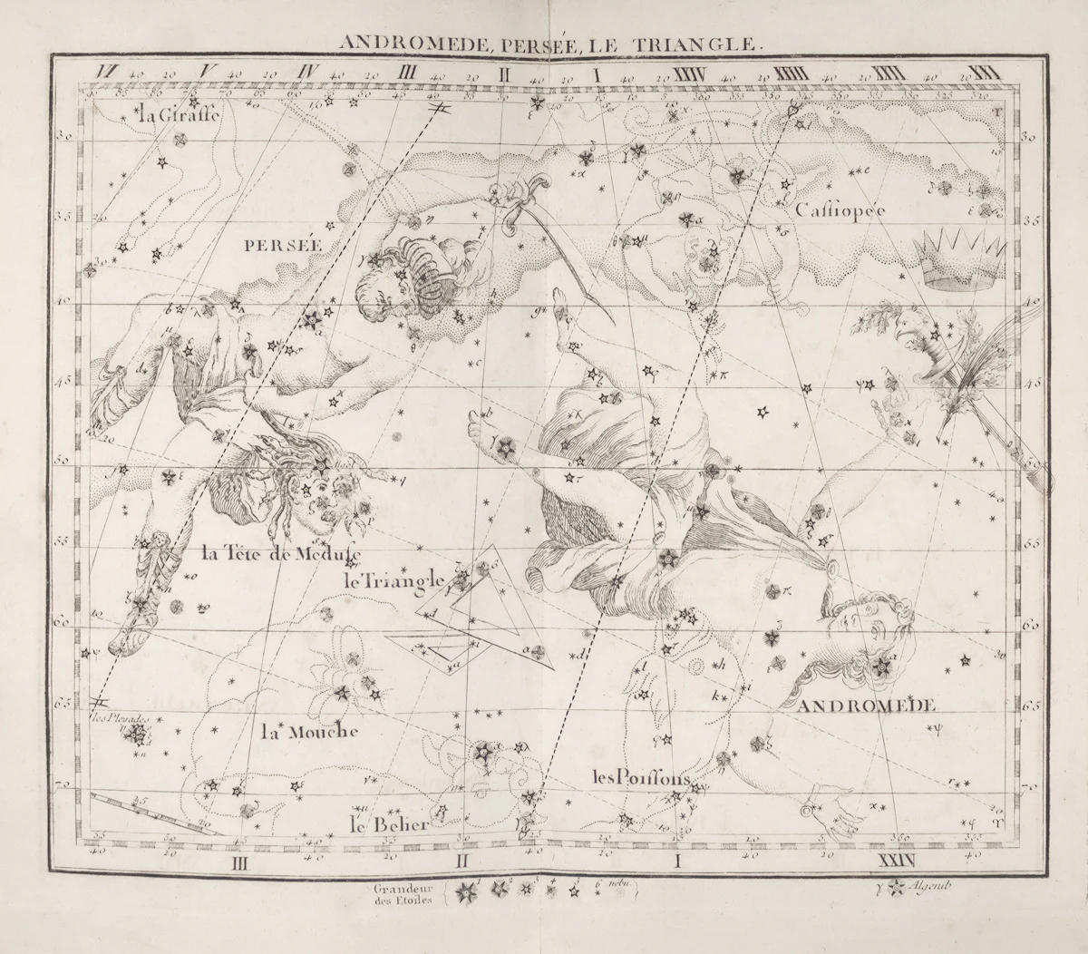 A constellation against the night