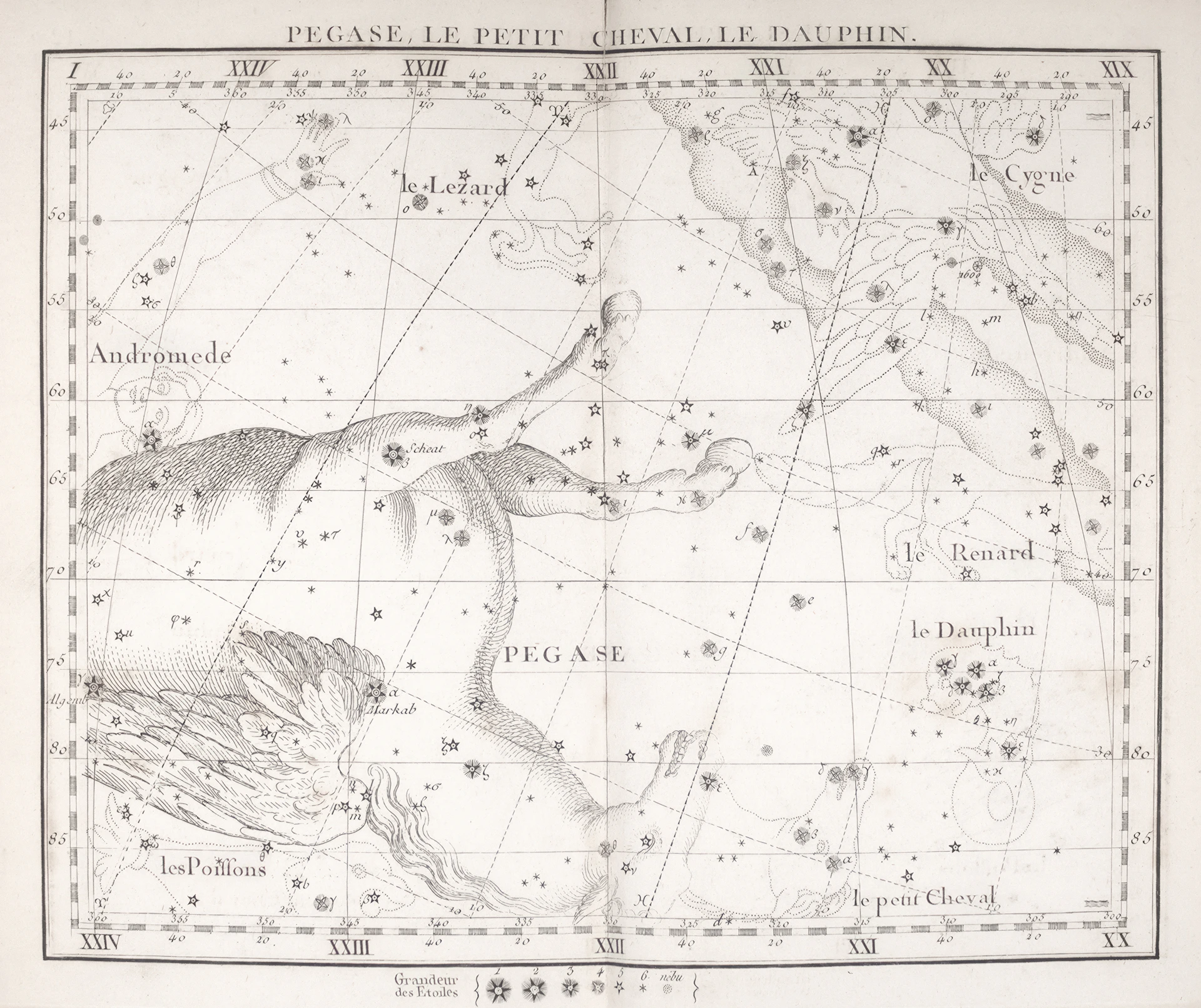 Celestial map showing constellations pegasus and delphinus.