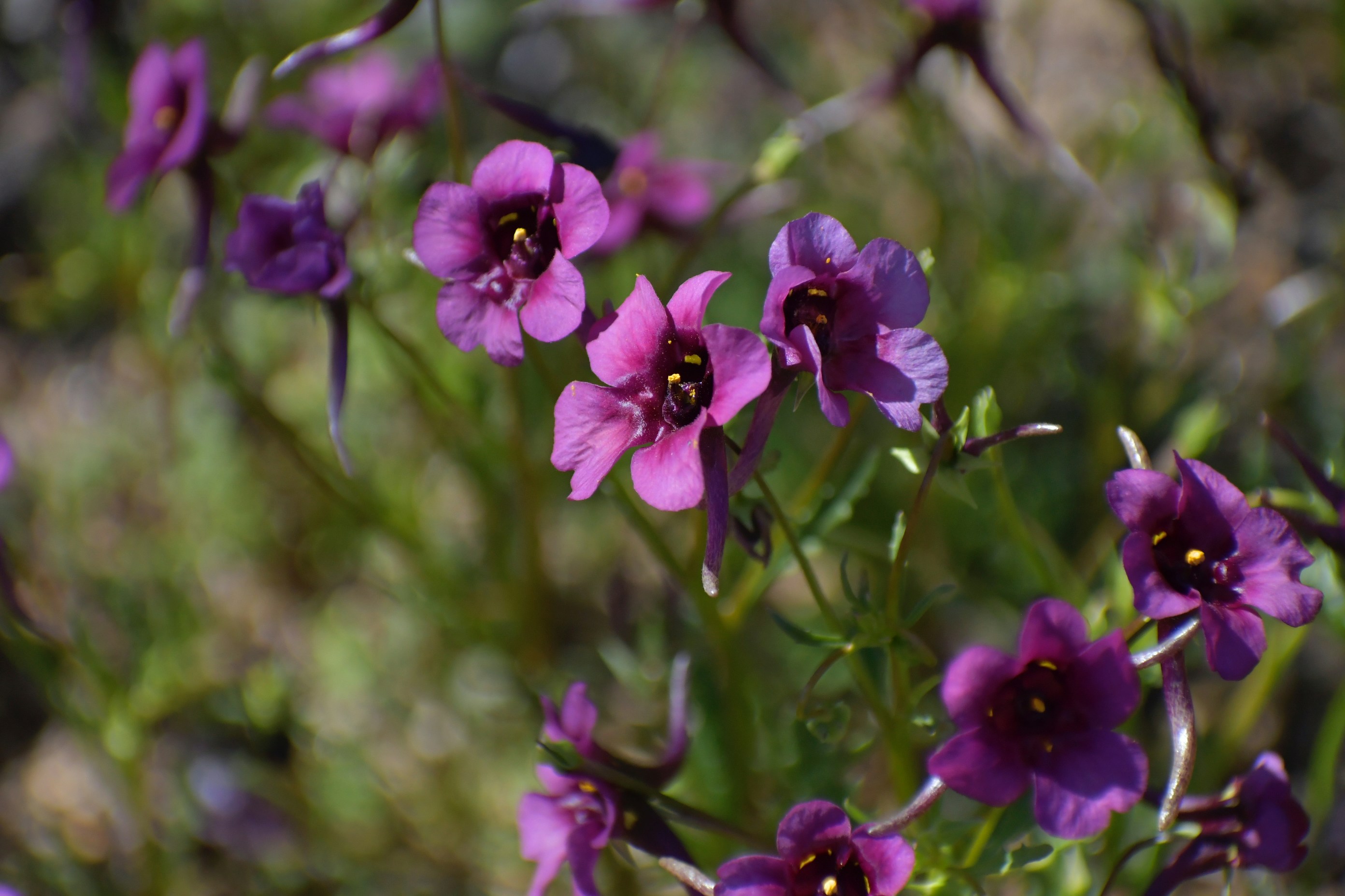 Photo by claudia18120