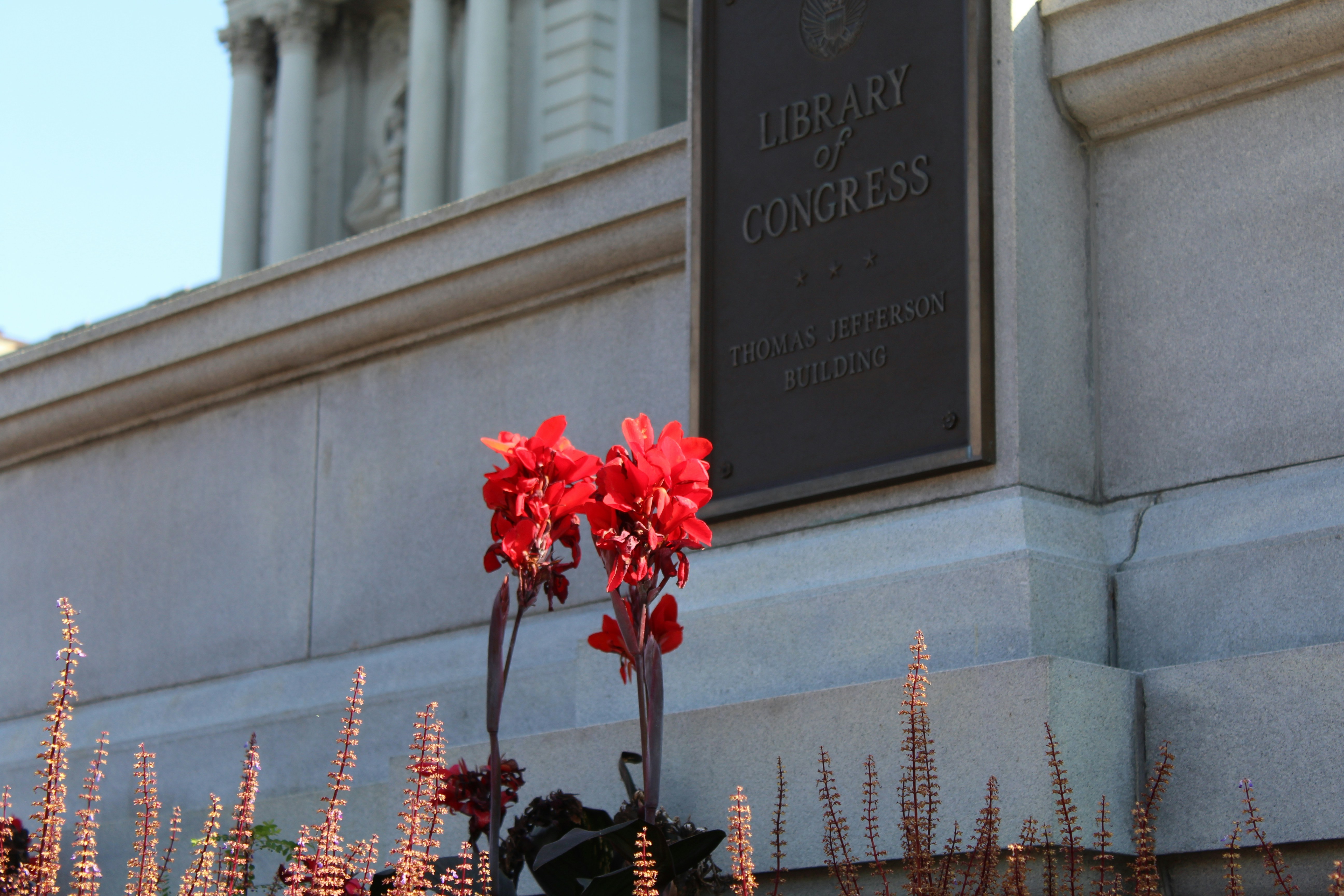 A building with a sign and flowers in front of it