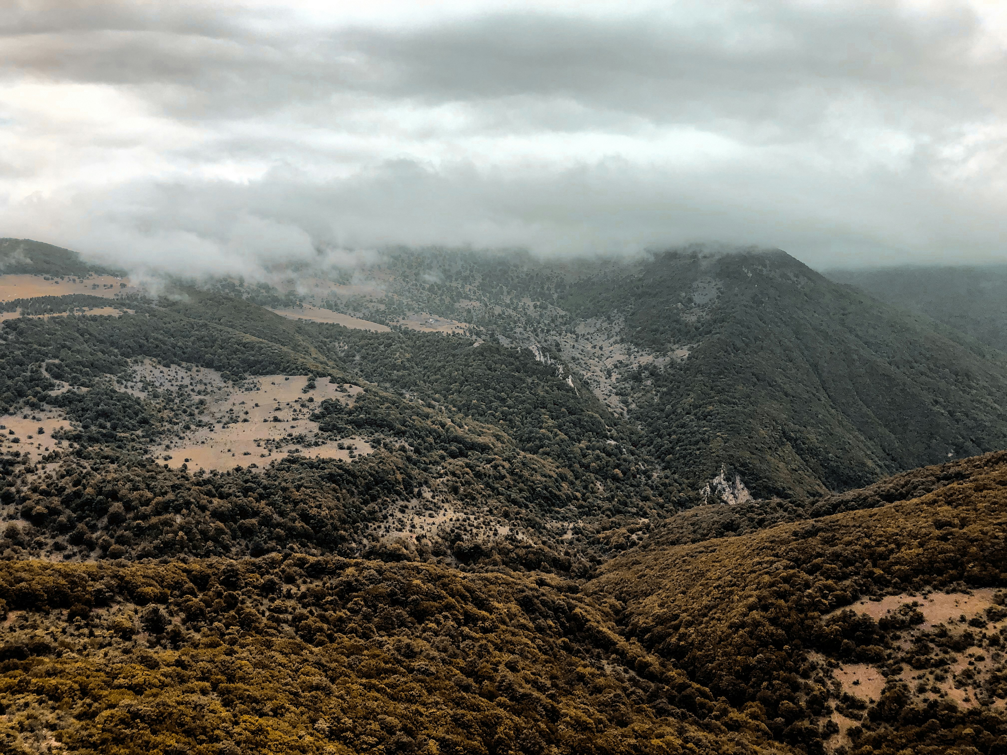 Photo by amirrzolfaqari