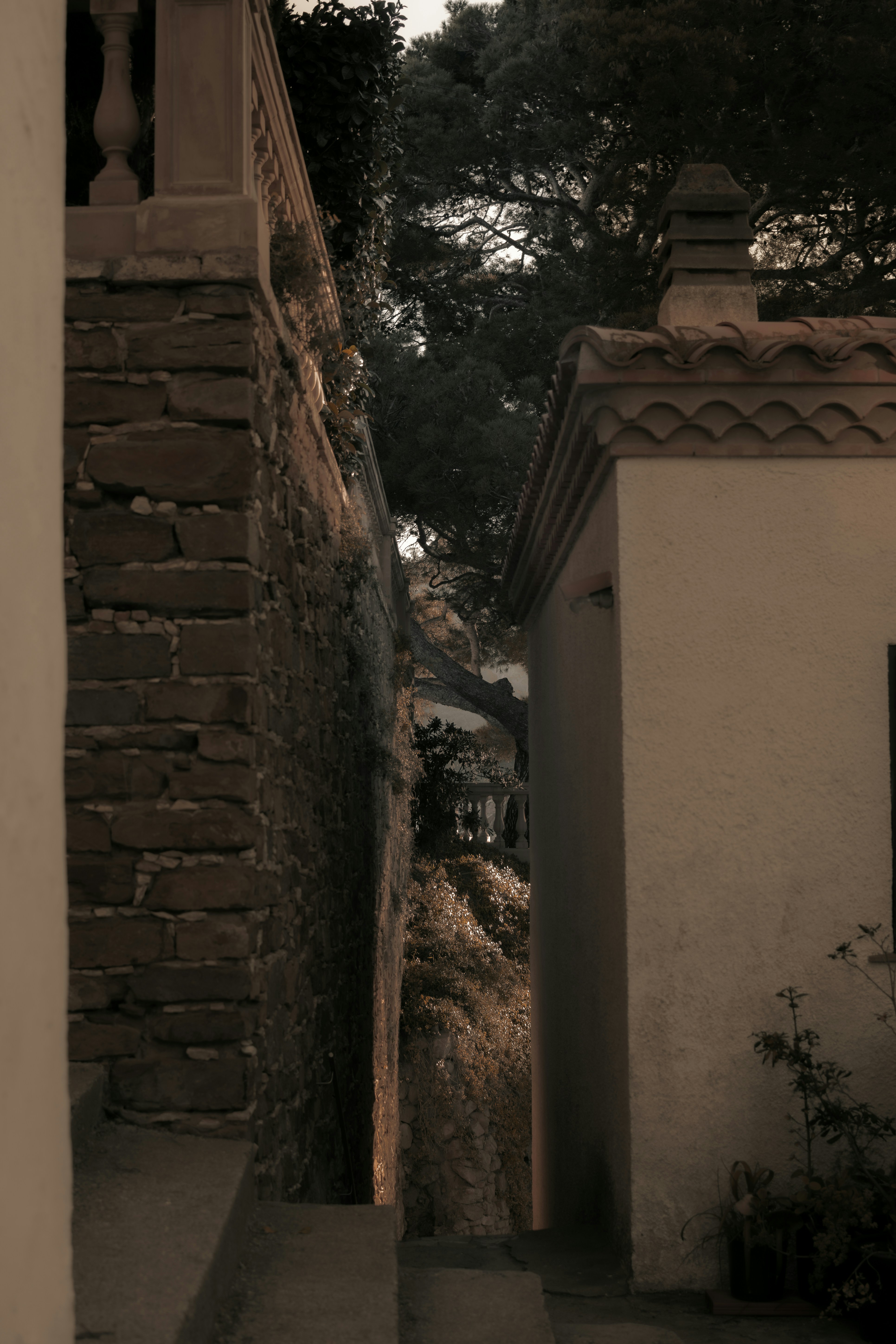 Photo by saulbanderaxi