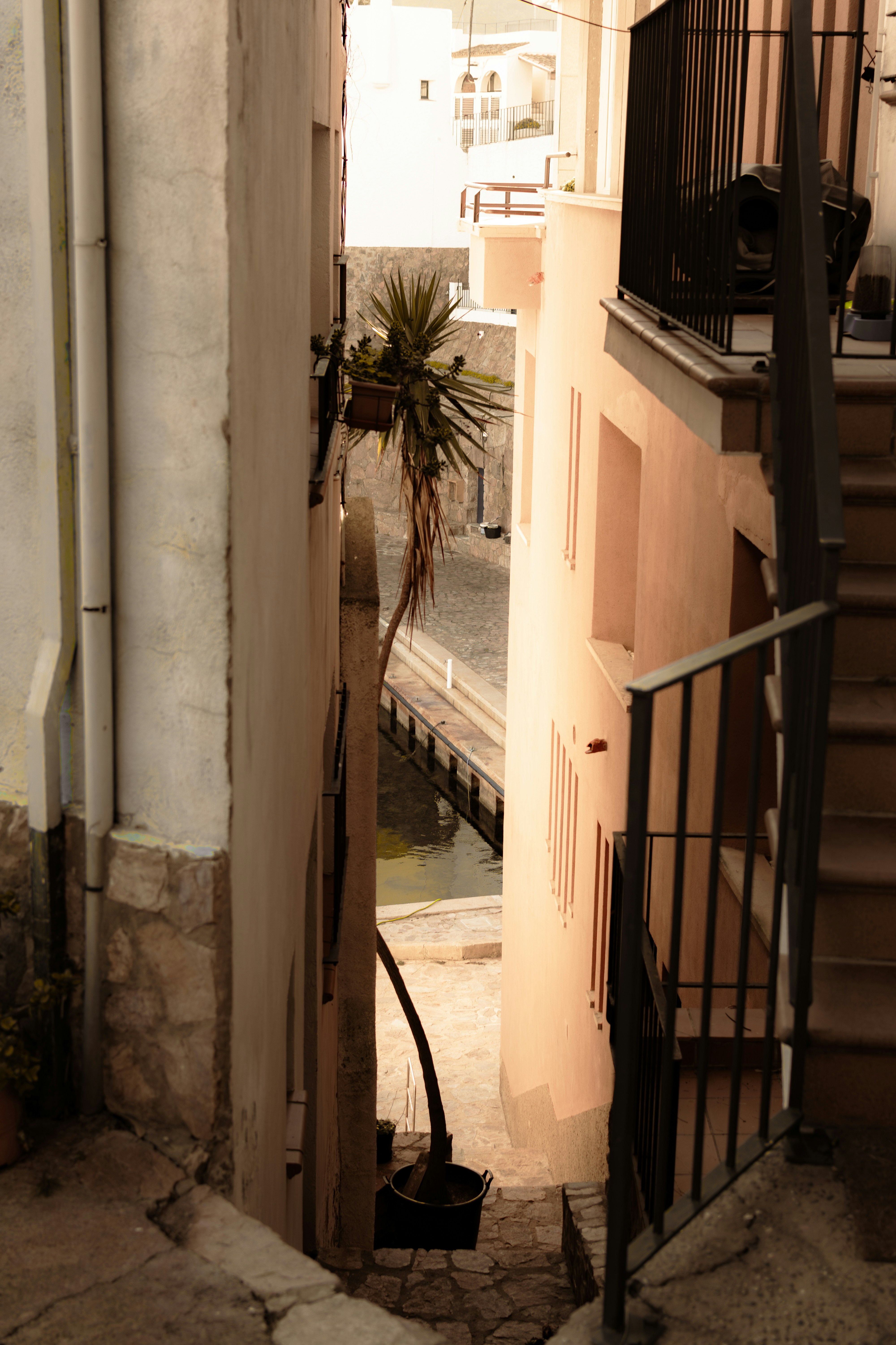 Photo by saulbanderaxi