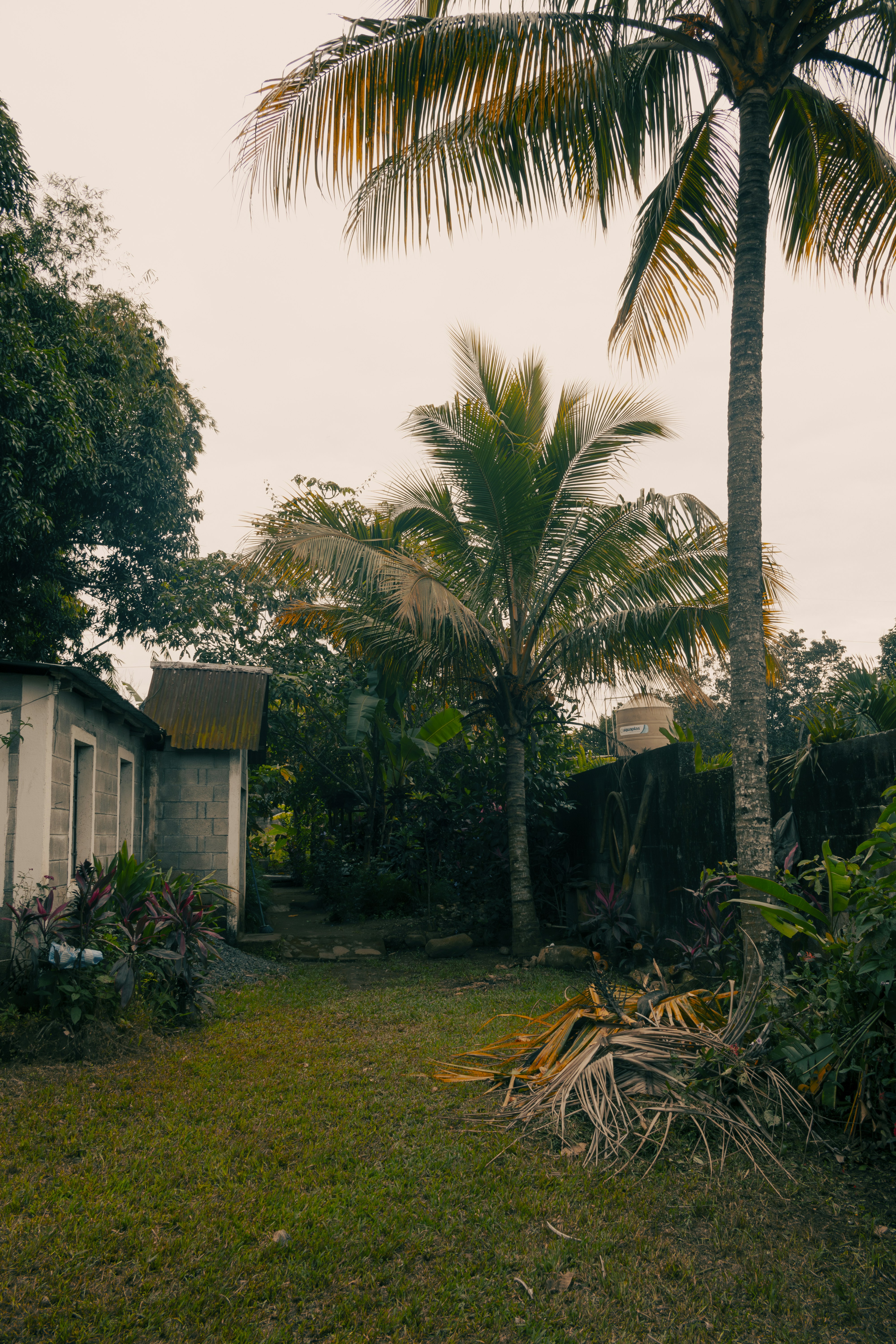 Paisaje costero de Gozo, Malta, con acantilados y mar azul