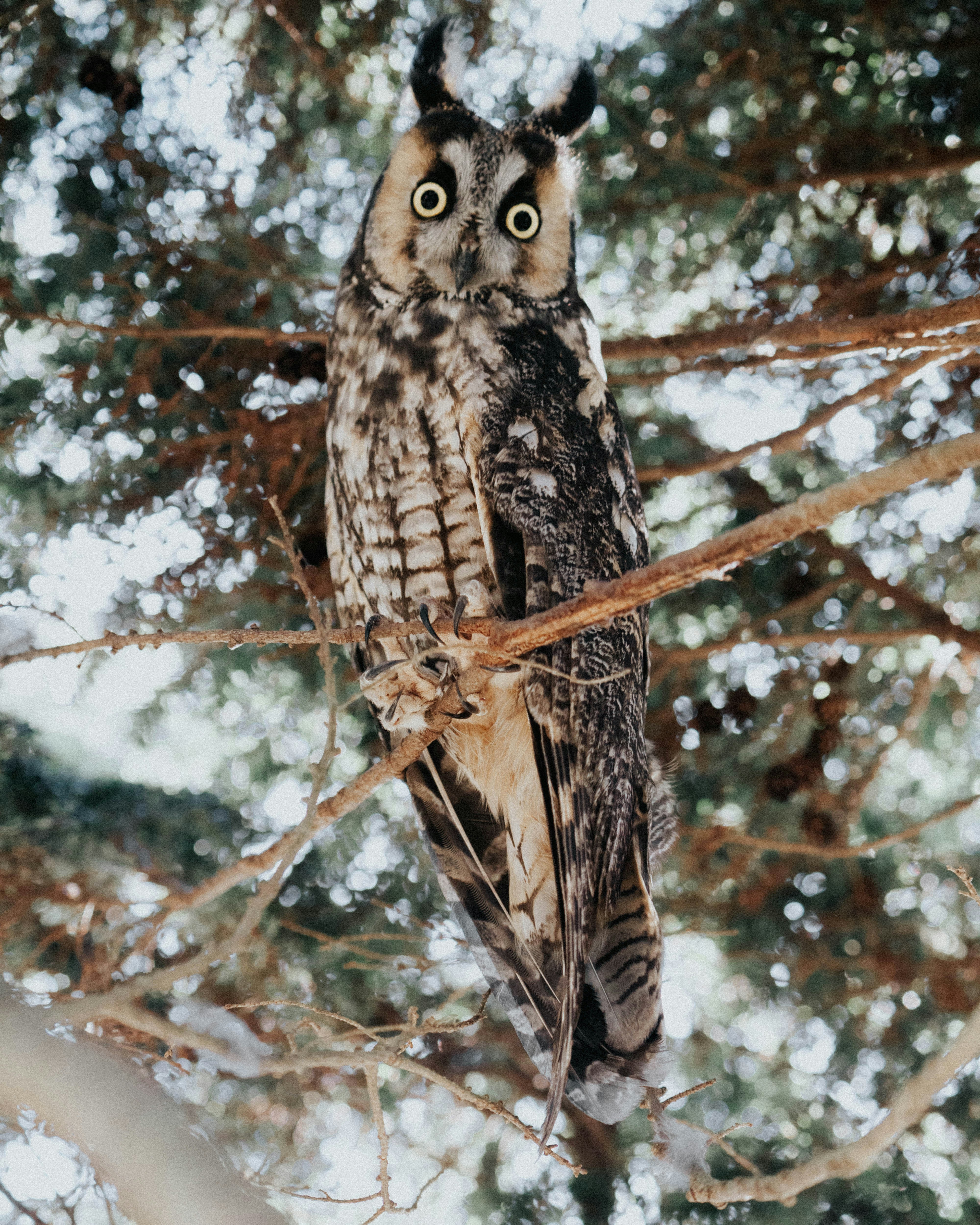 Photo by davidzumpephotography