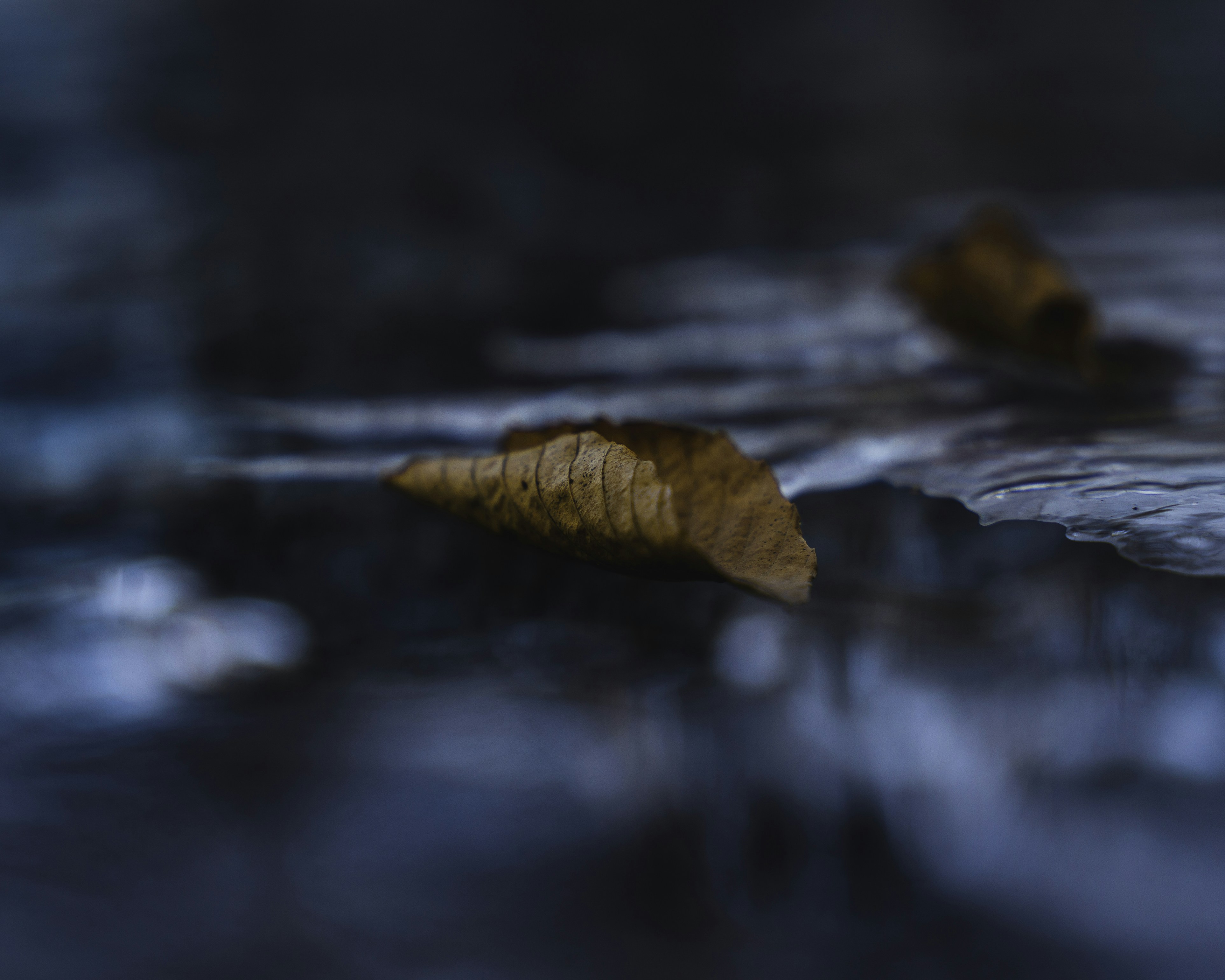 Photo by davidzumpephotography