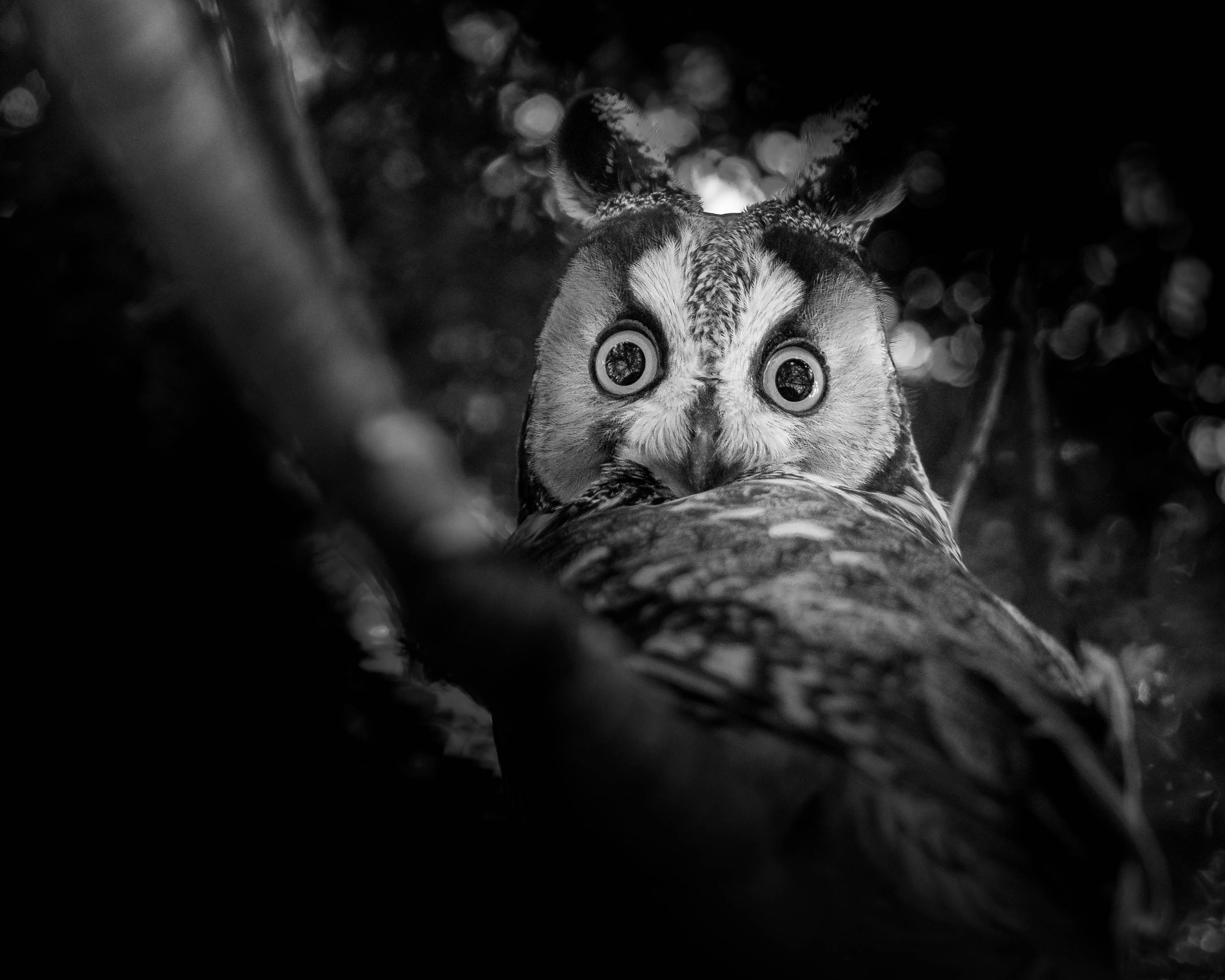 Photo by davidzumpephotography