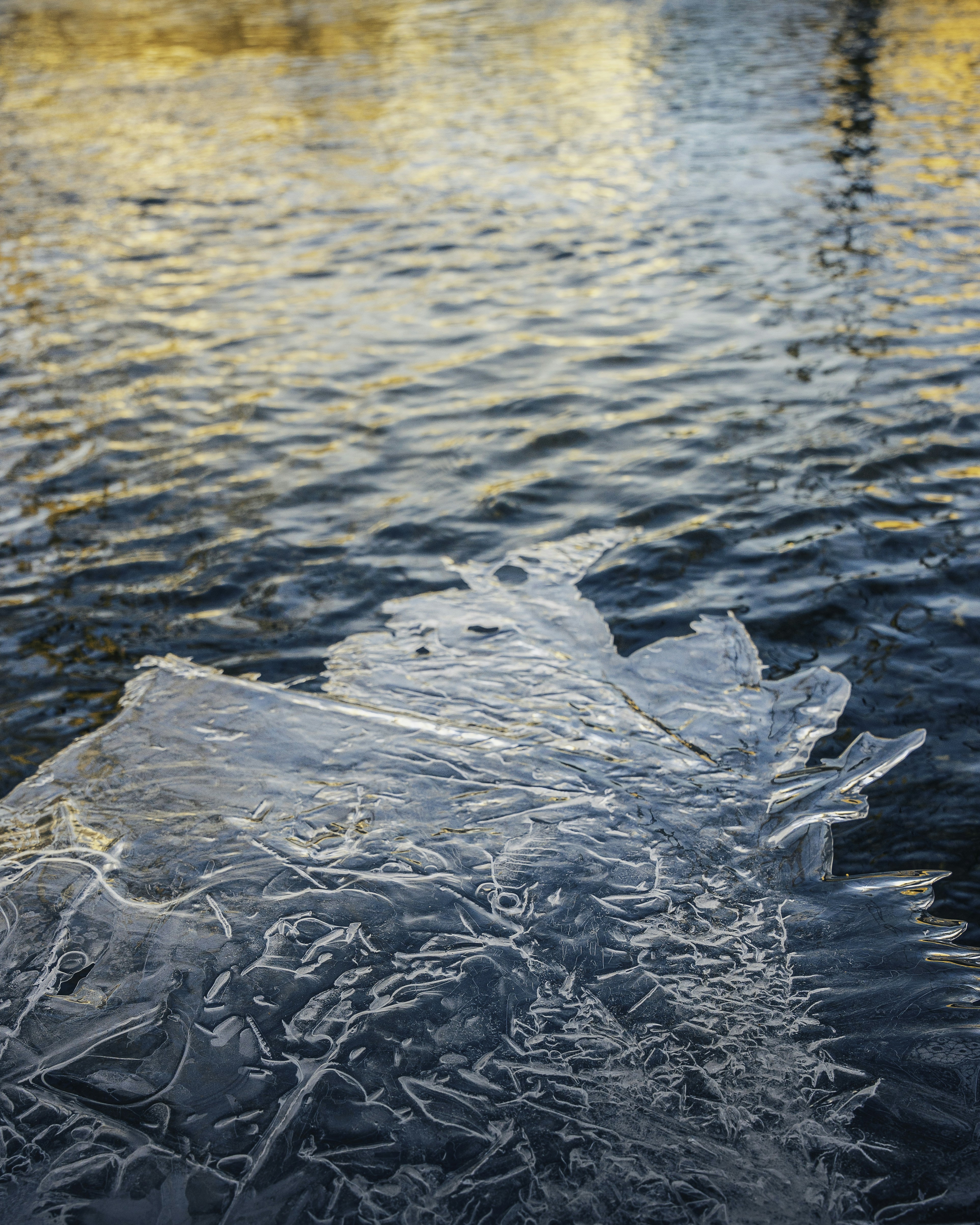 Photo by davidzumpephotography