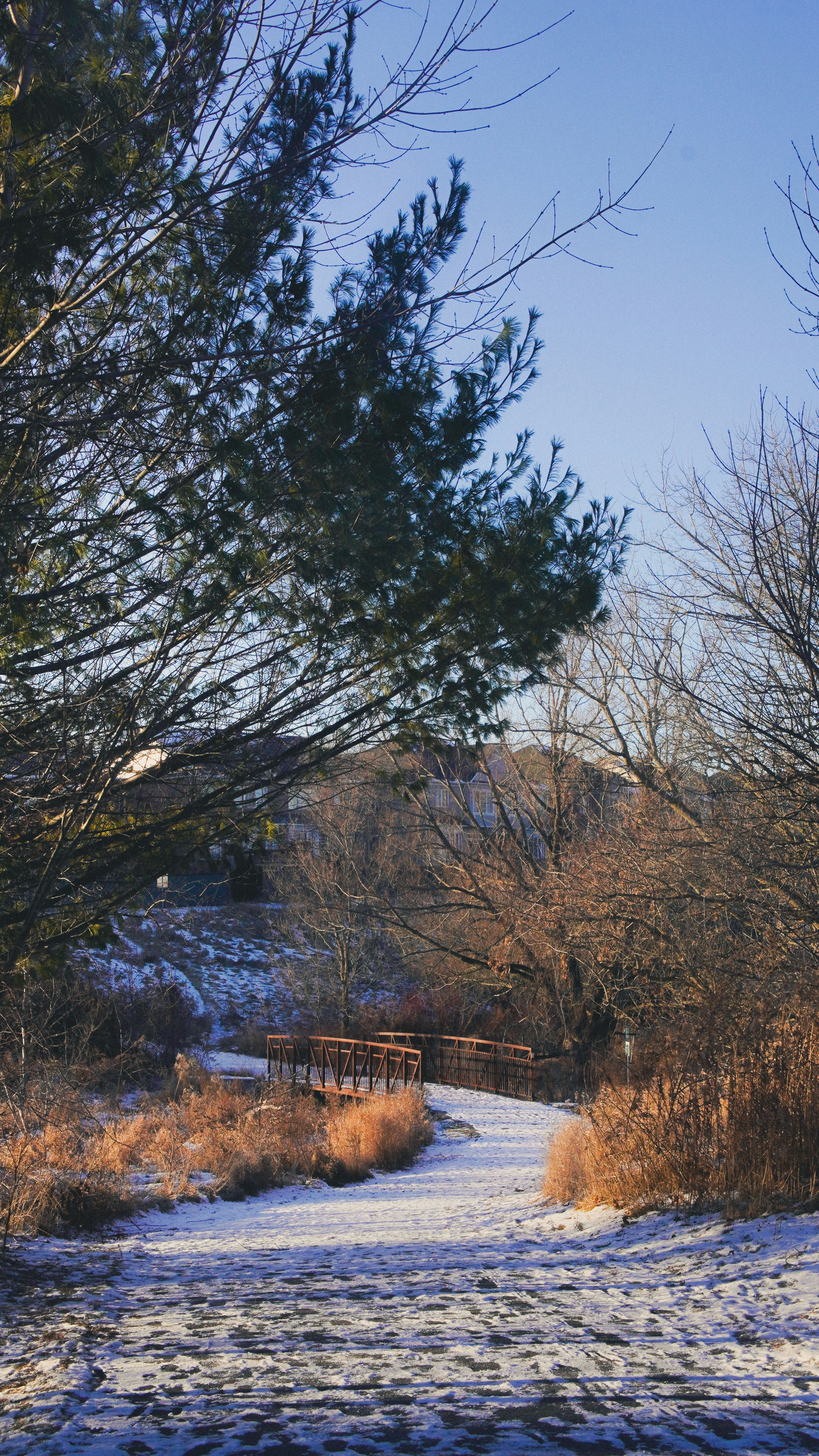 Photo by therpeandme