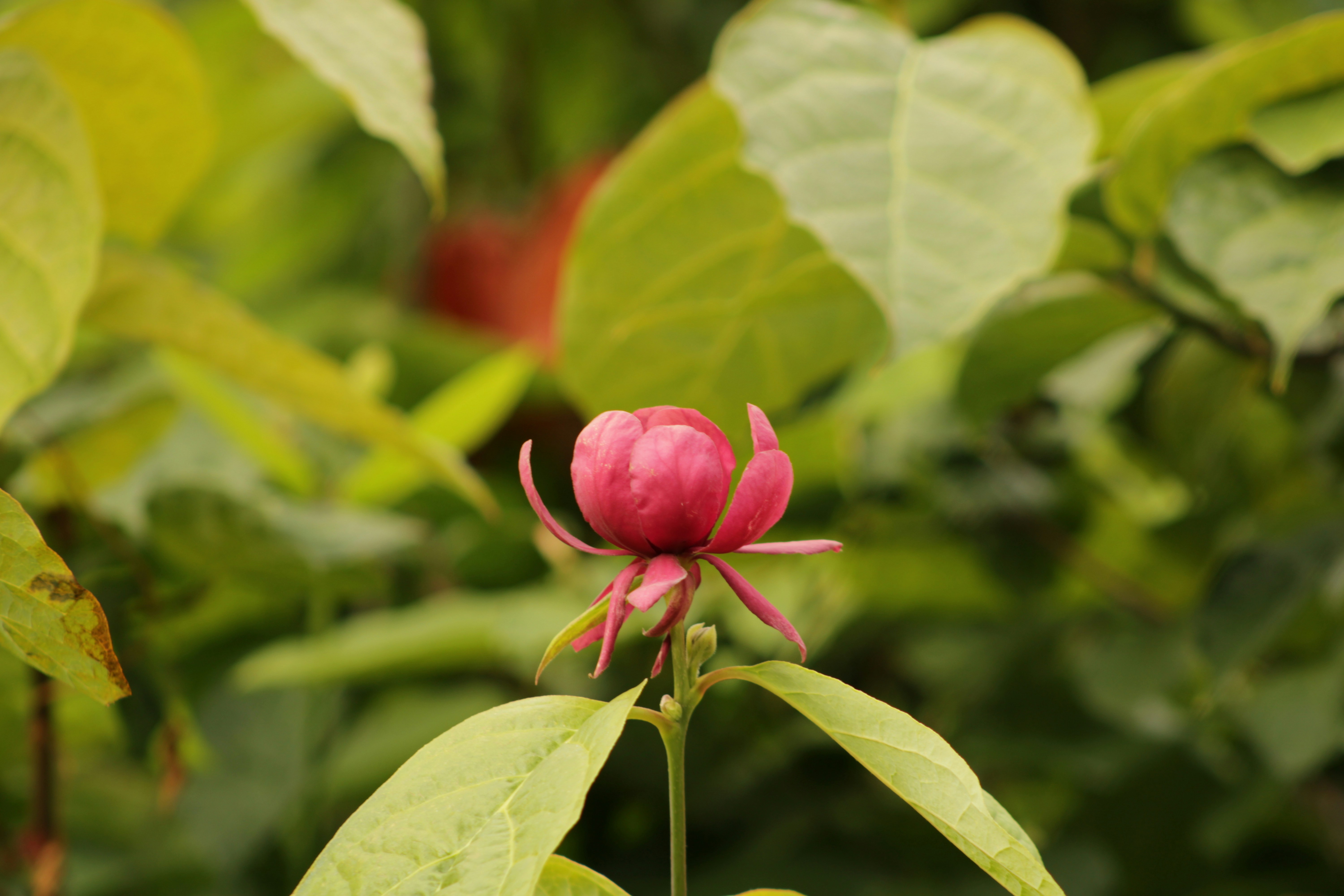 Photo by yenniferfilms