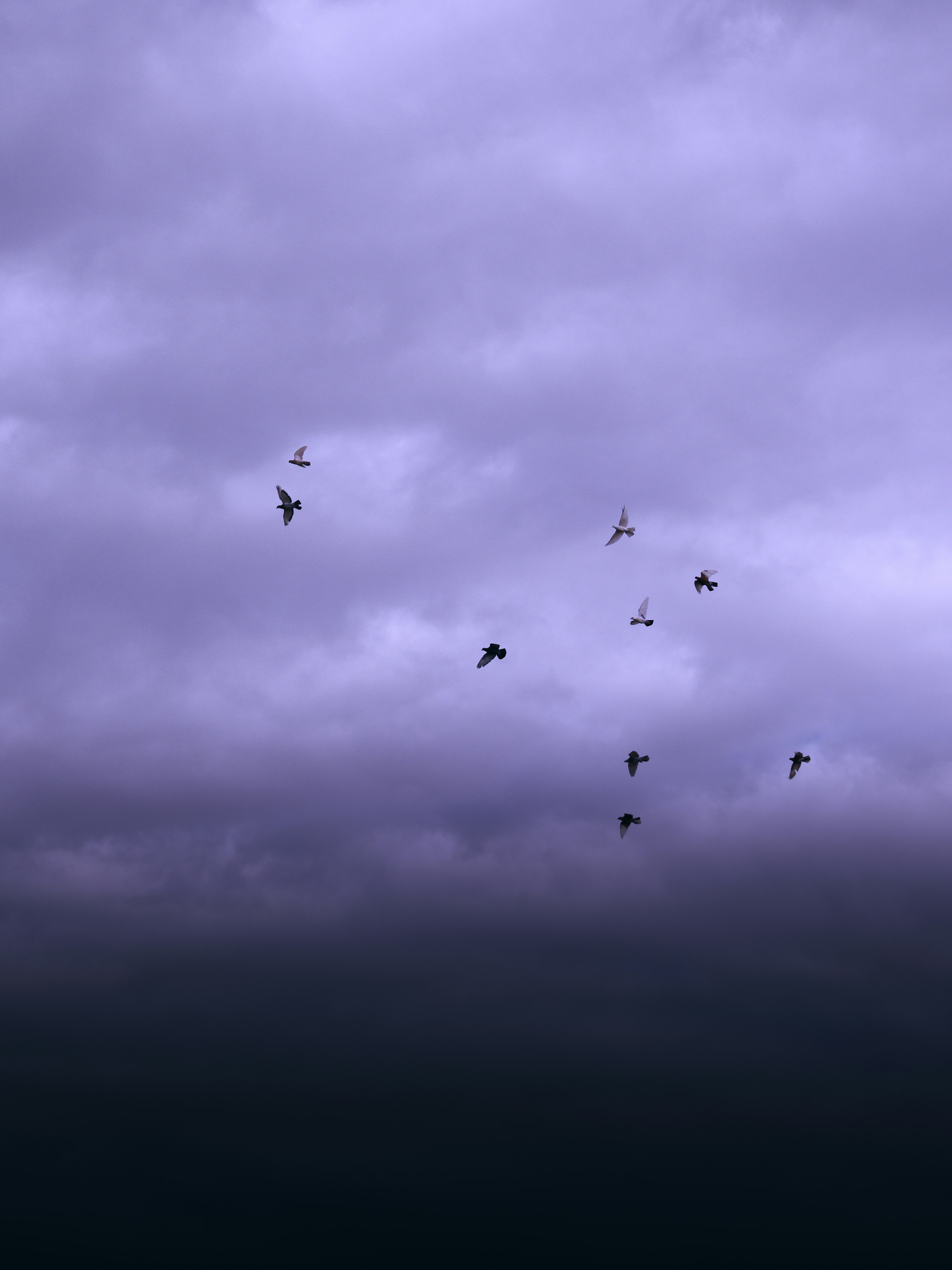 Photo by naderayman_photography