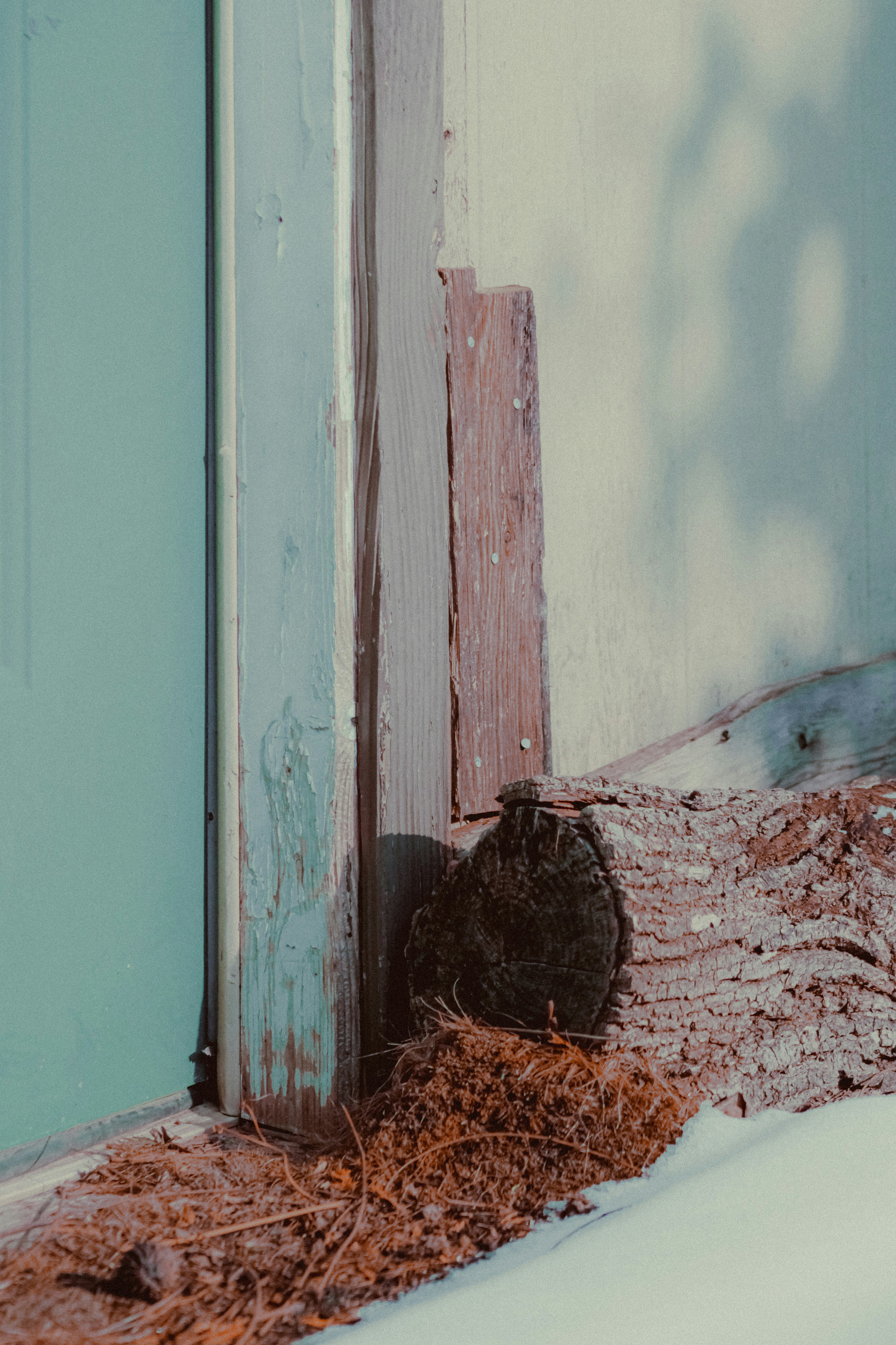 A bird is sitting in the snow by a door