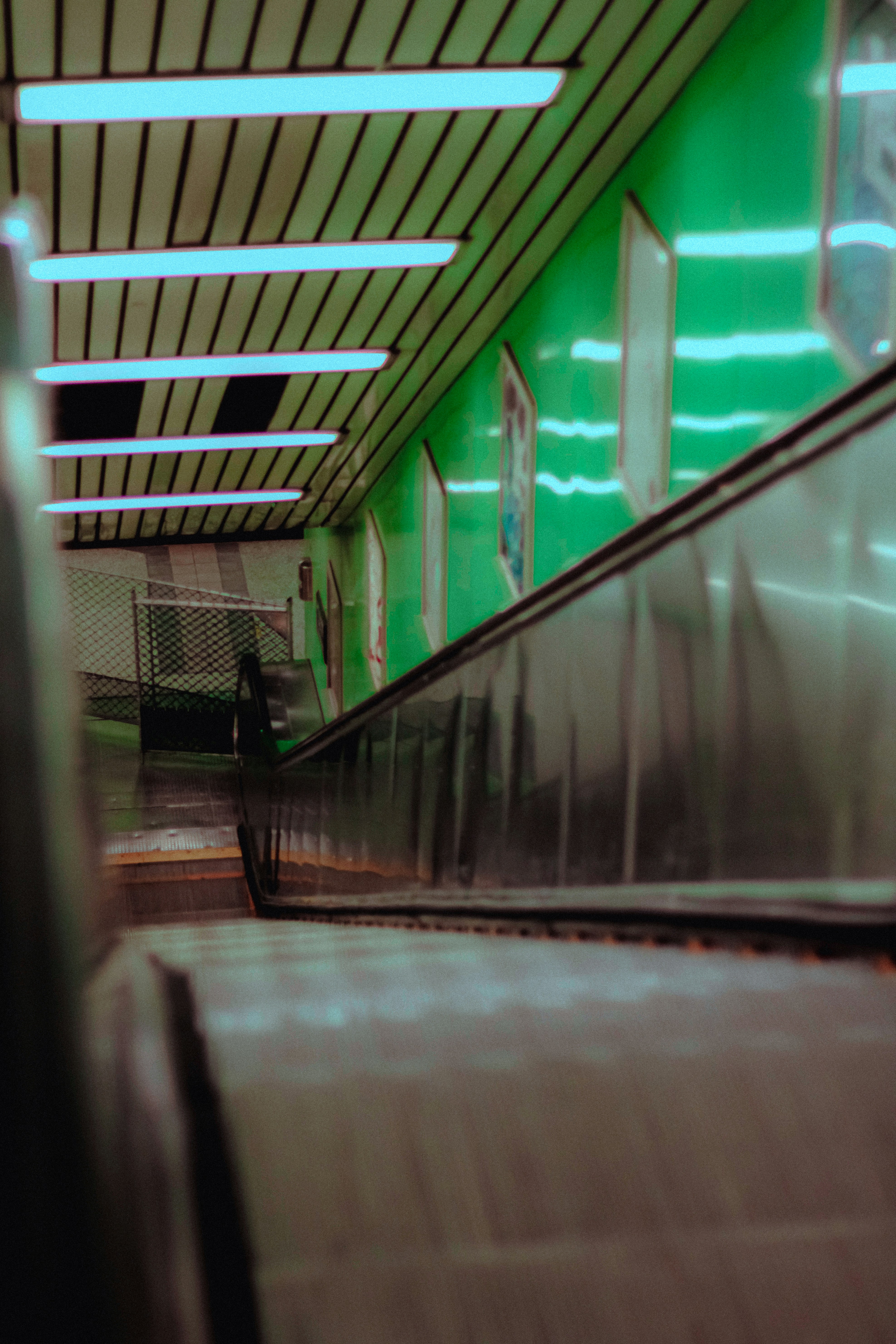 Photo by linusbelanger