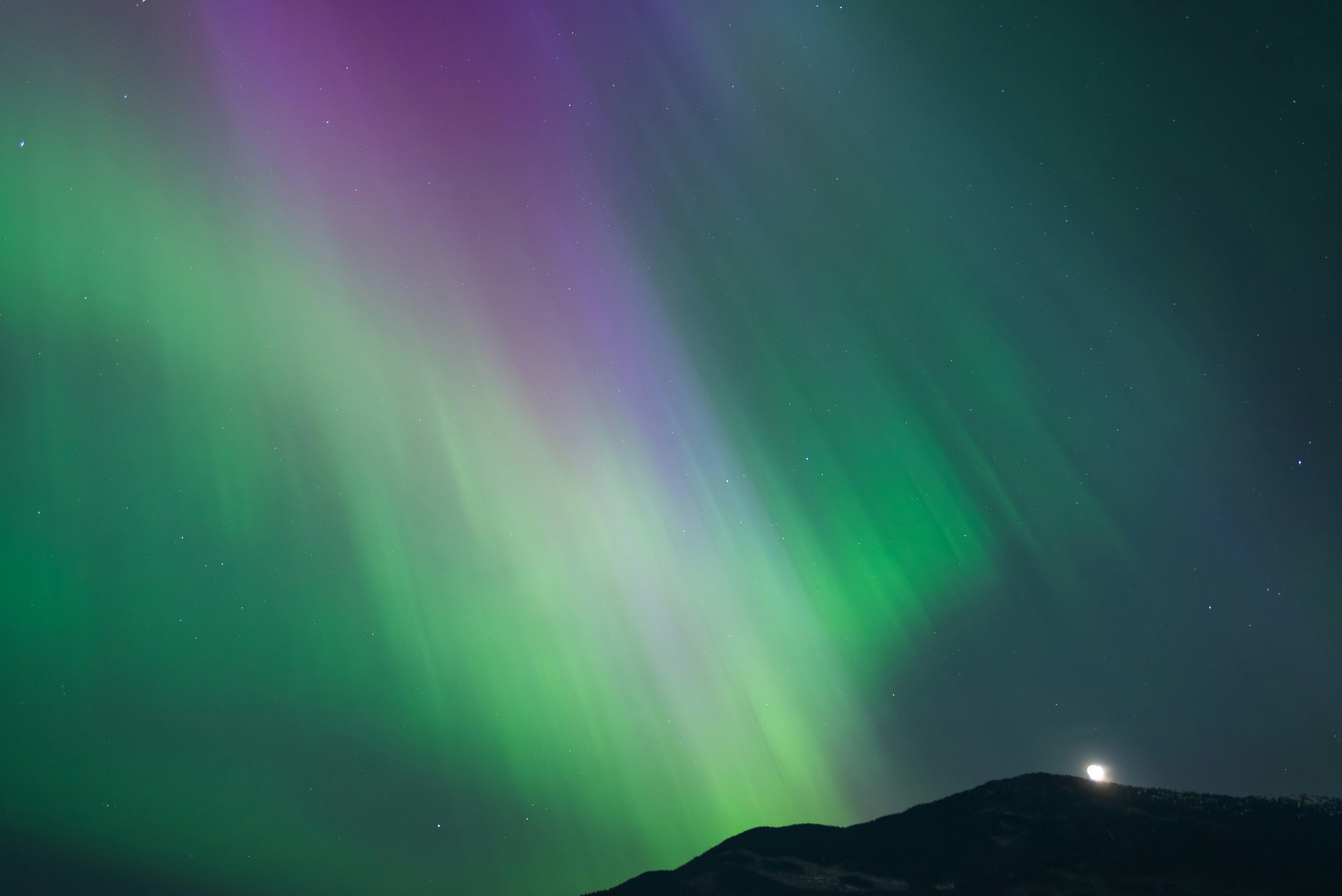 Une aurore verte et violette se levait dans le ciel nocturne