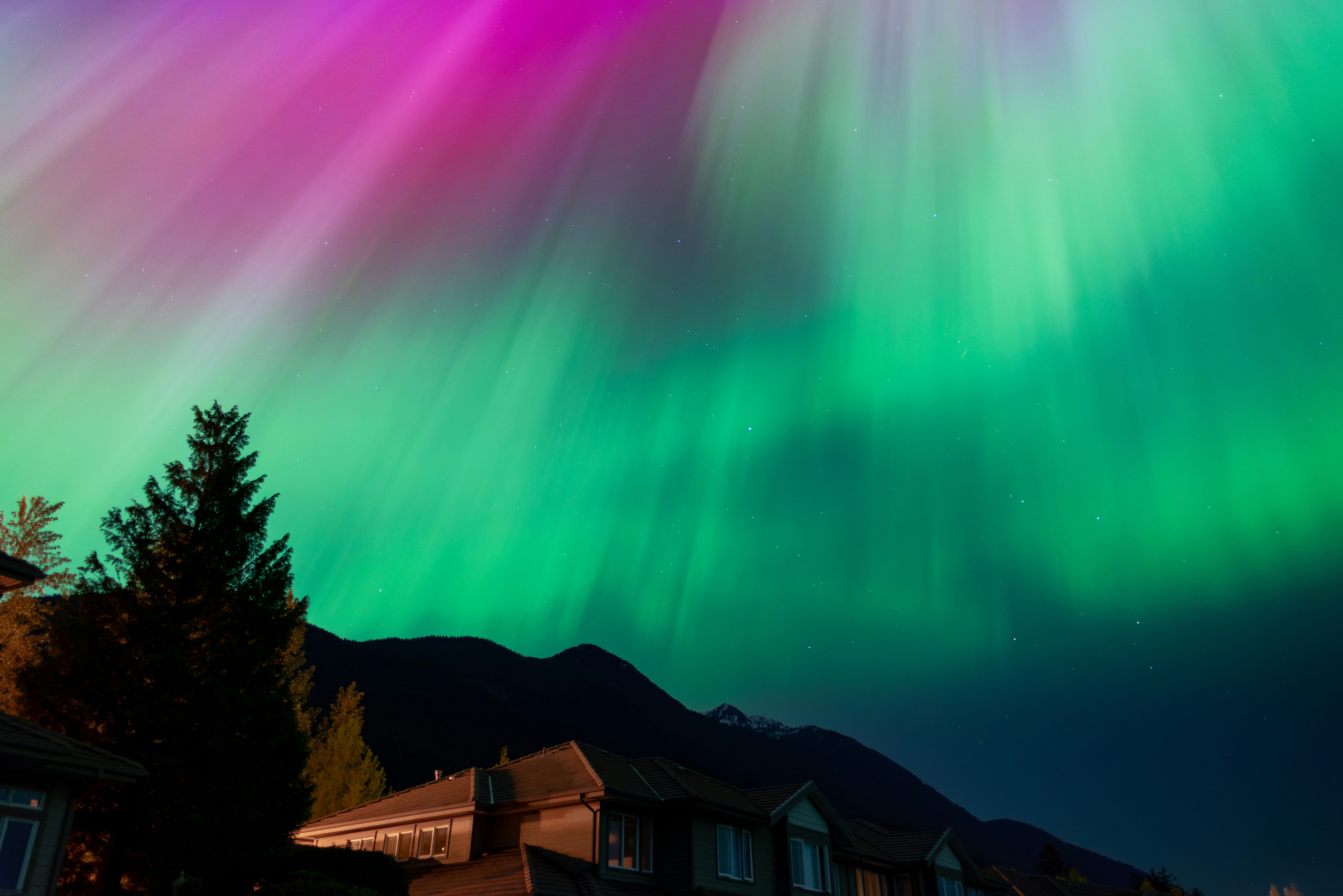Un mascaret vert et violet est dans le ciel