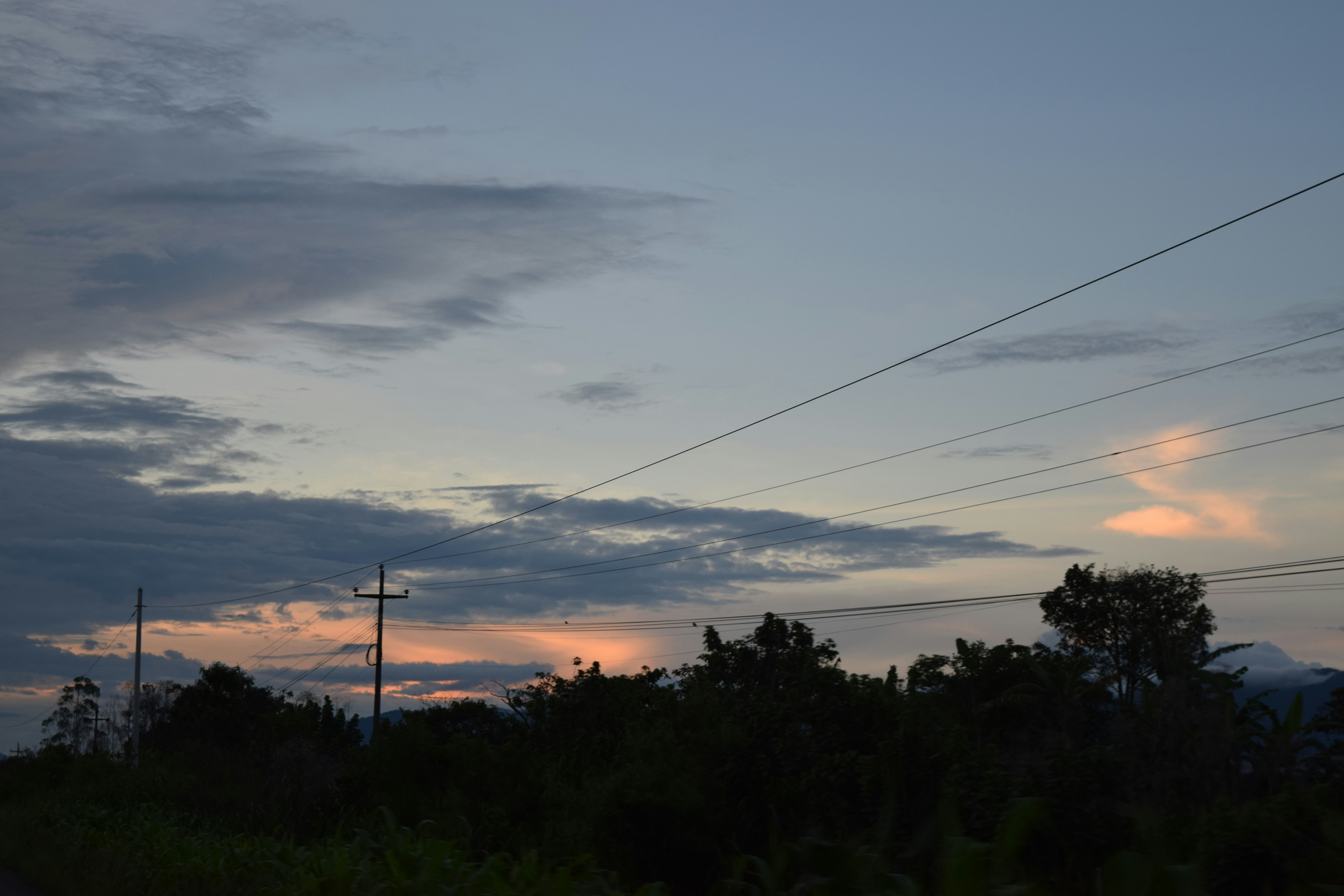 Photo by tonybringas