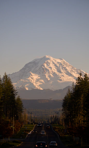 A large snow covered mountain towering over a forest