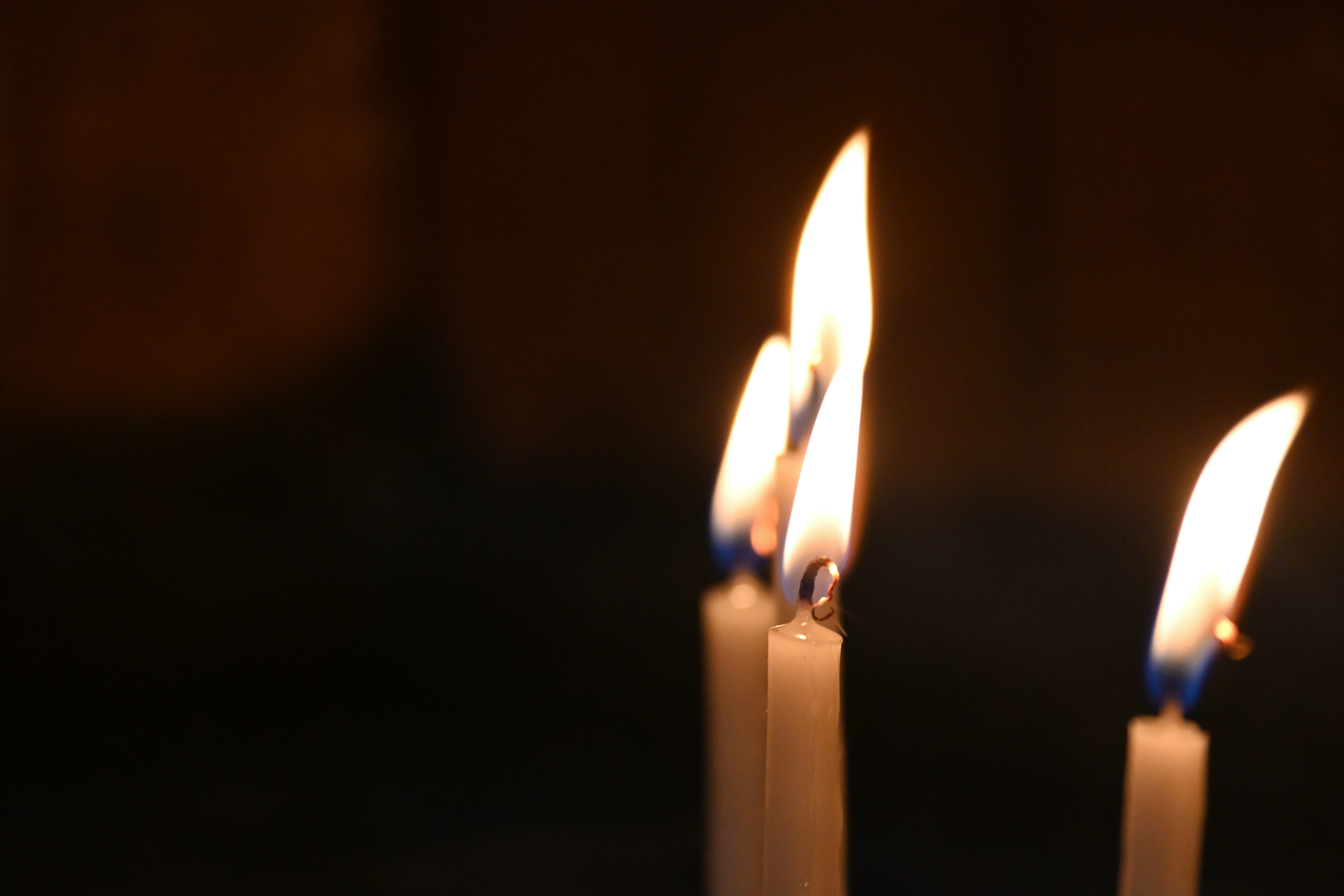 Photo by aminzabardast