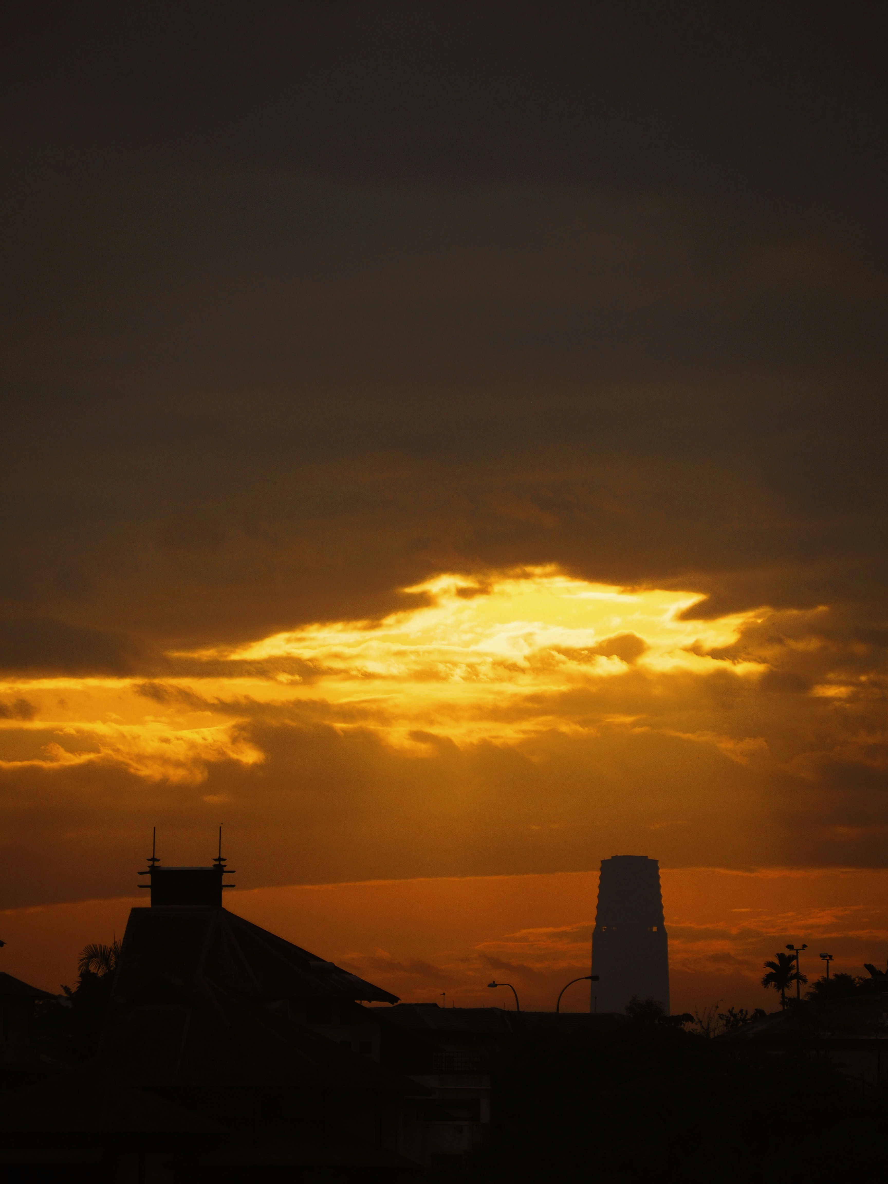 Photo by muscateer777