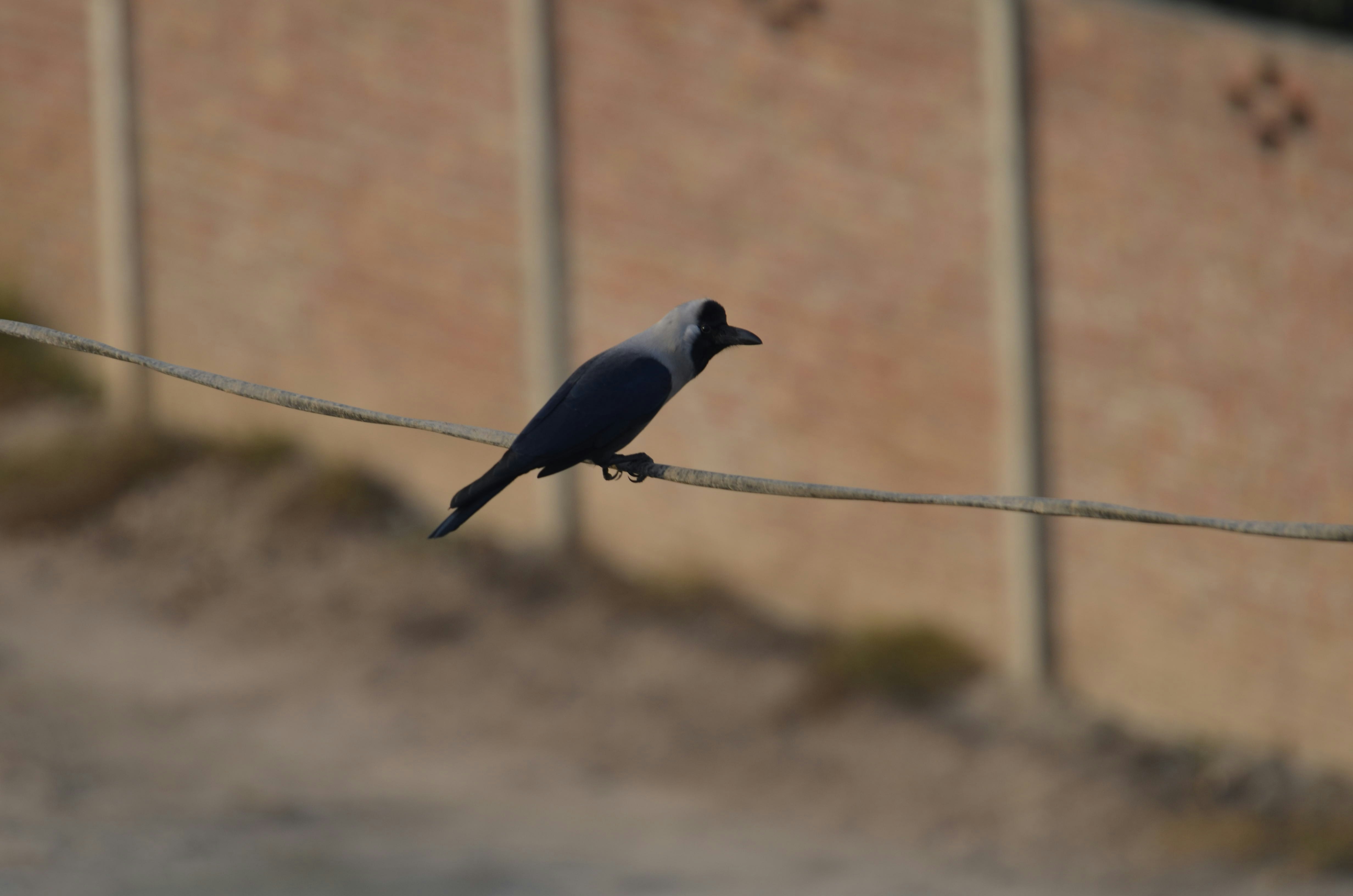 Photo by exploring_world002