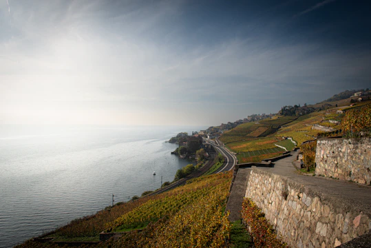 A scenic view of a lake and a road