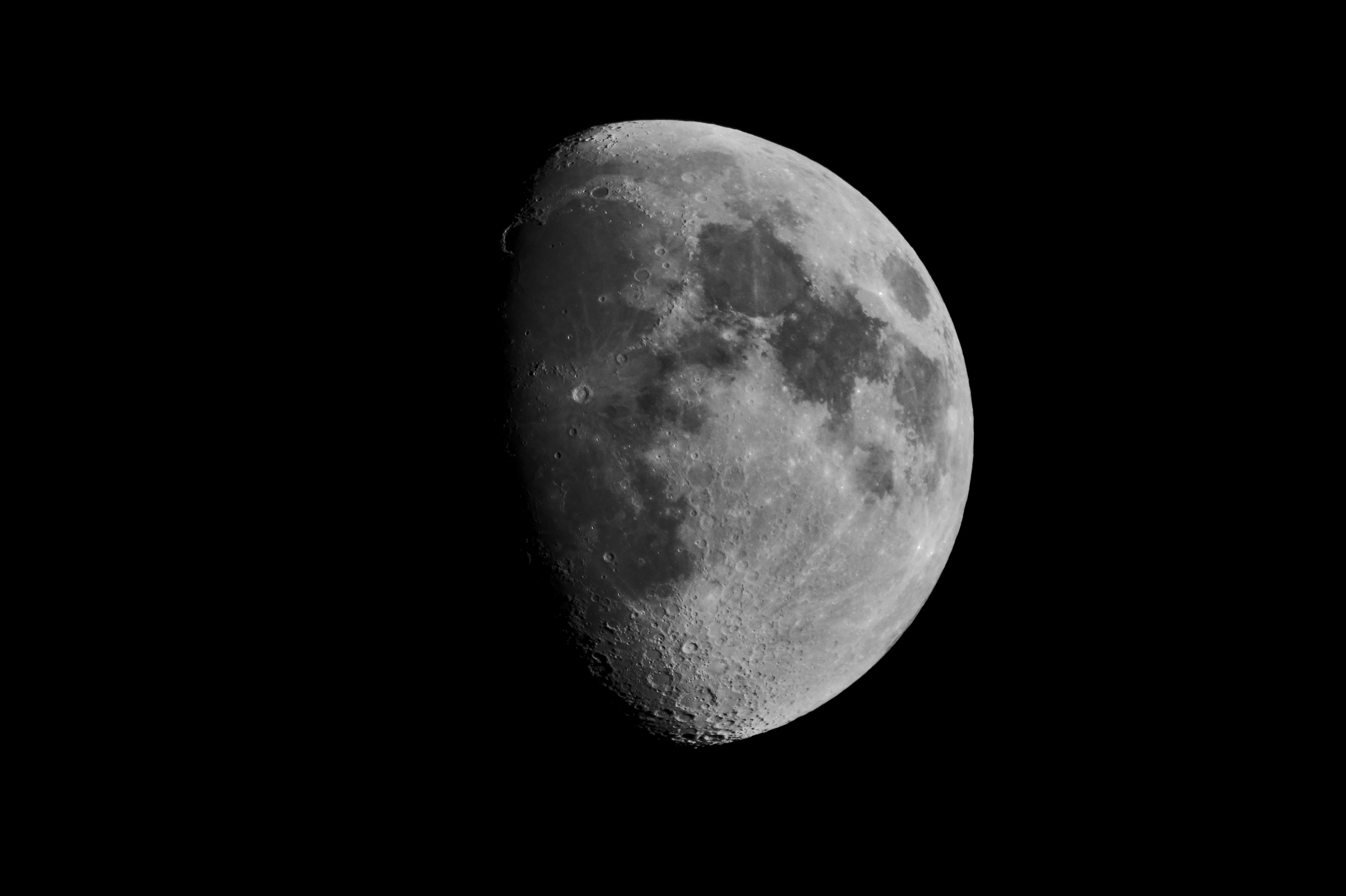 Photo by chonkyninja