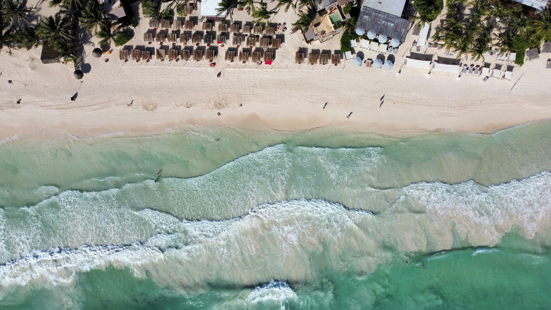 An aerial view of a sandy beach and ocean