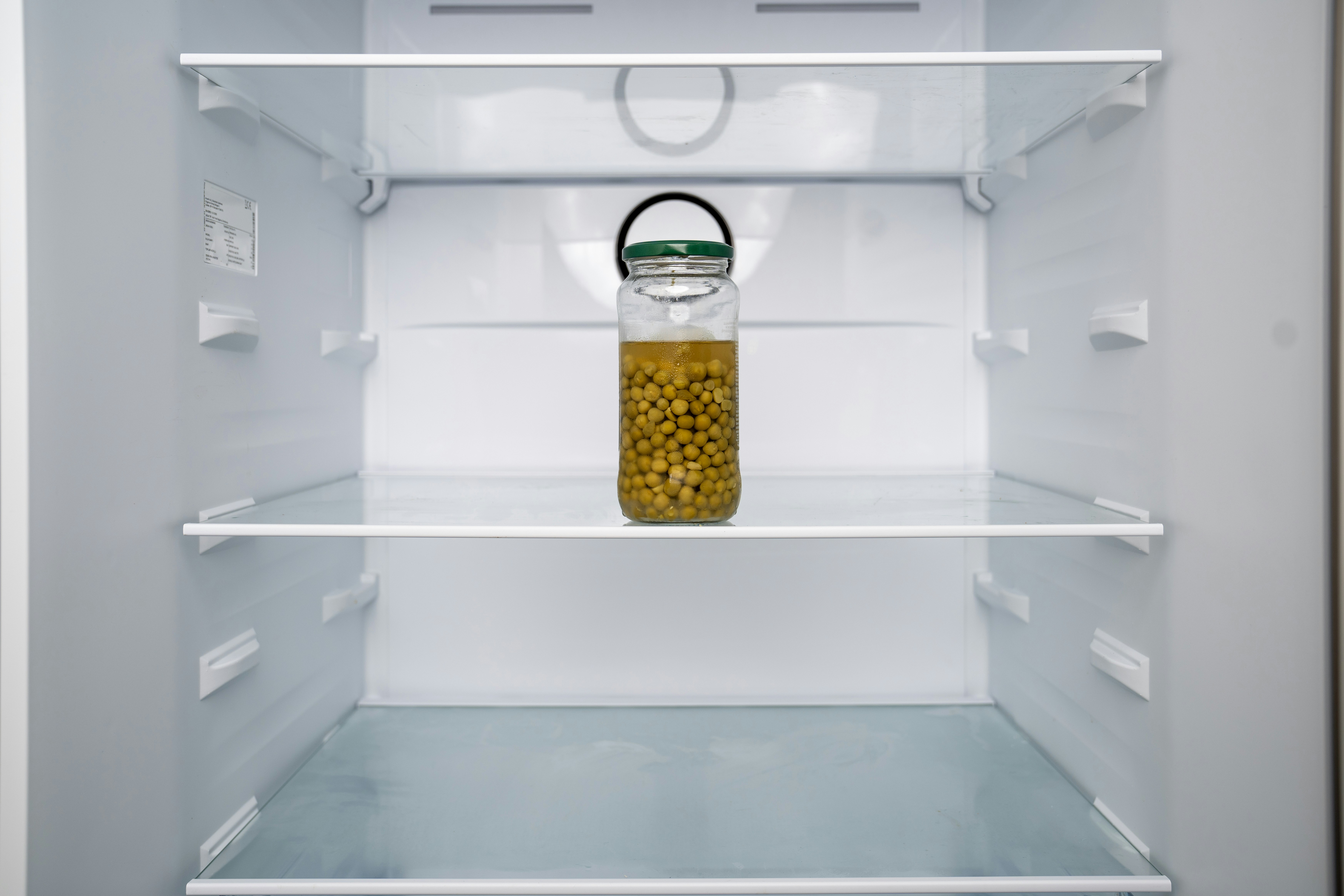 食材を無駄にしない保存方法ガイド