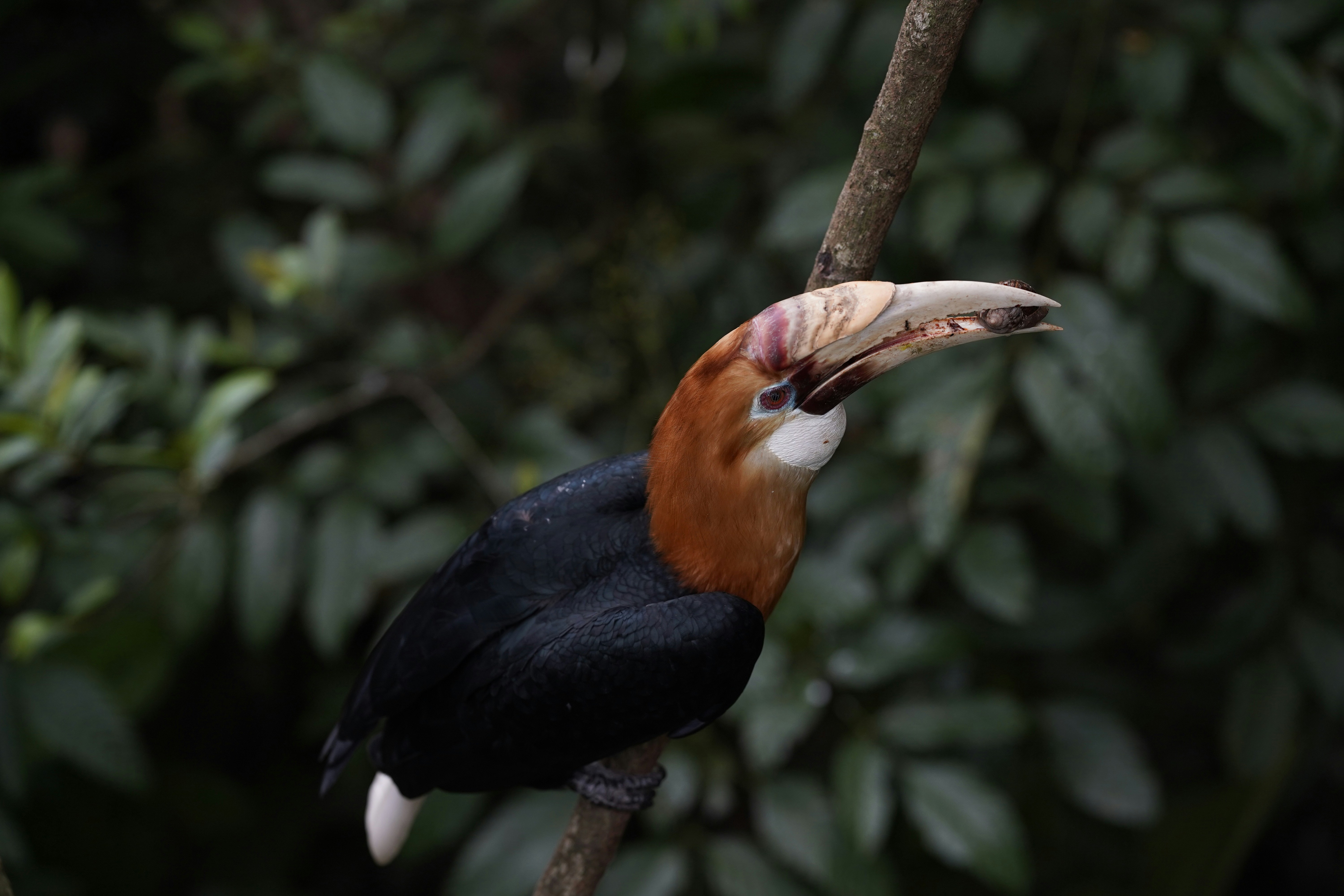 Photo by maryanntoinette