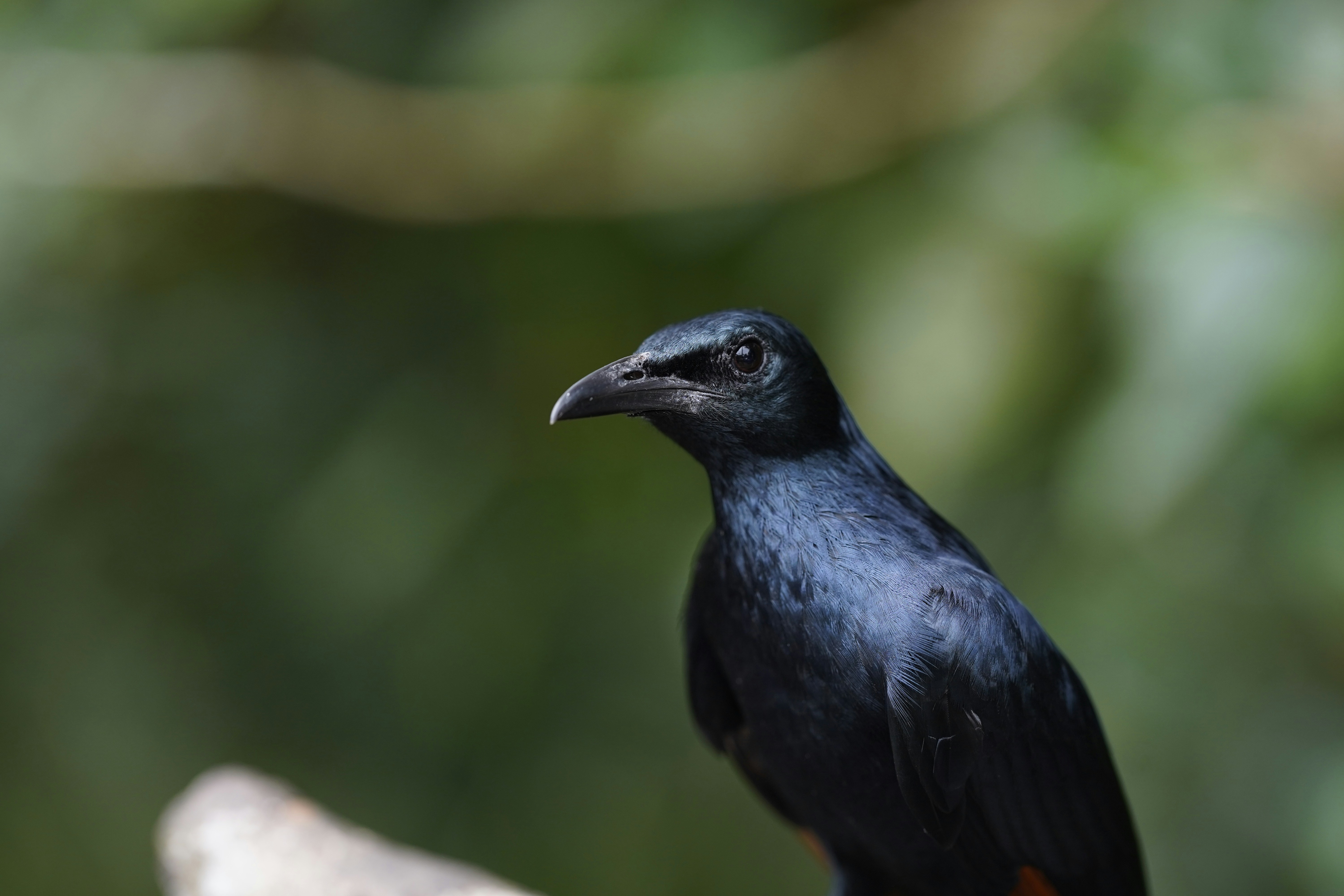 Photo by maryanntoinette