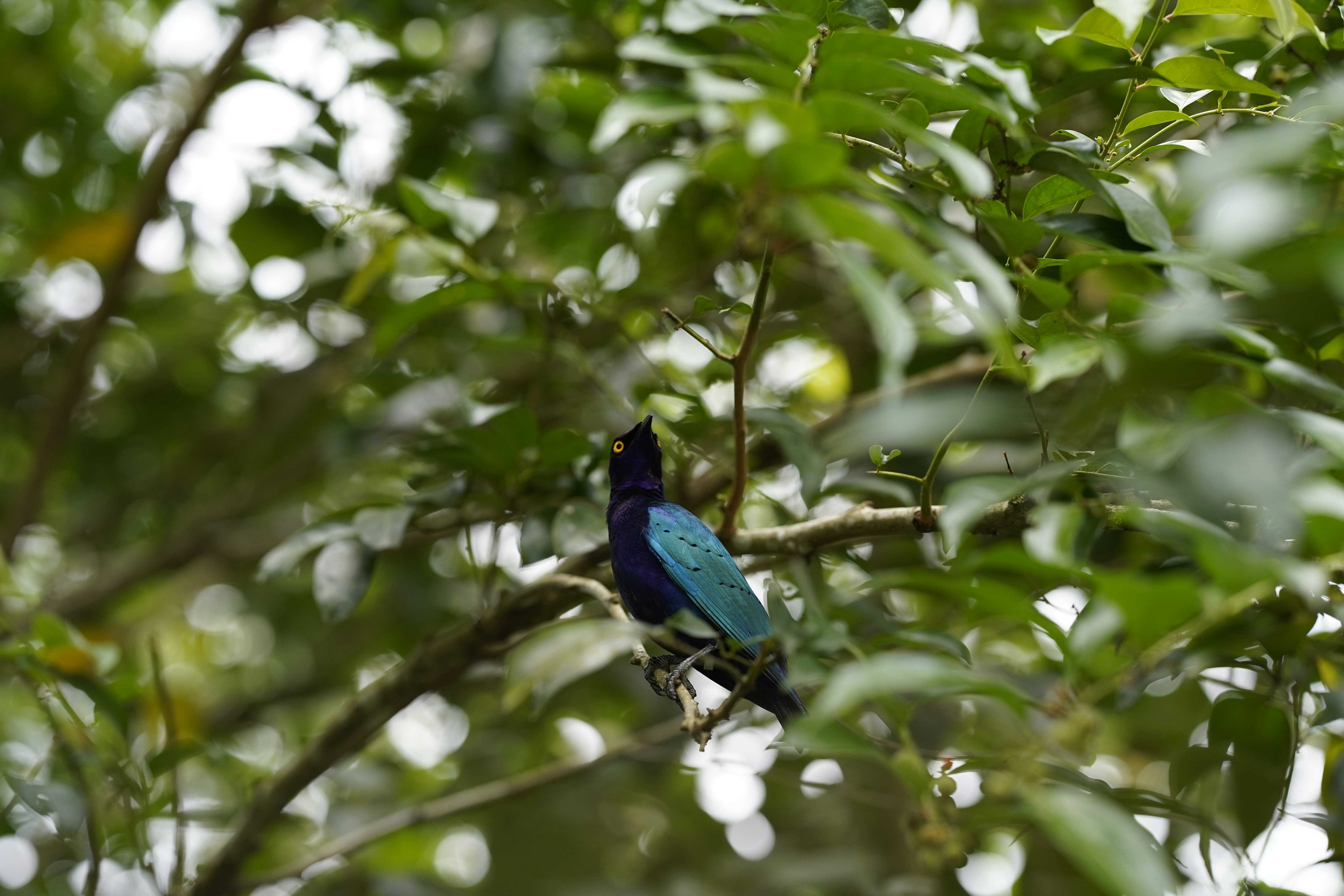 Photo by maryanntoinette