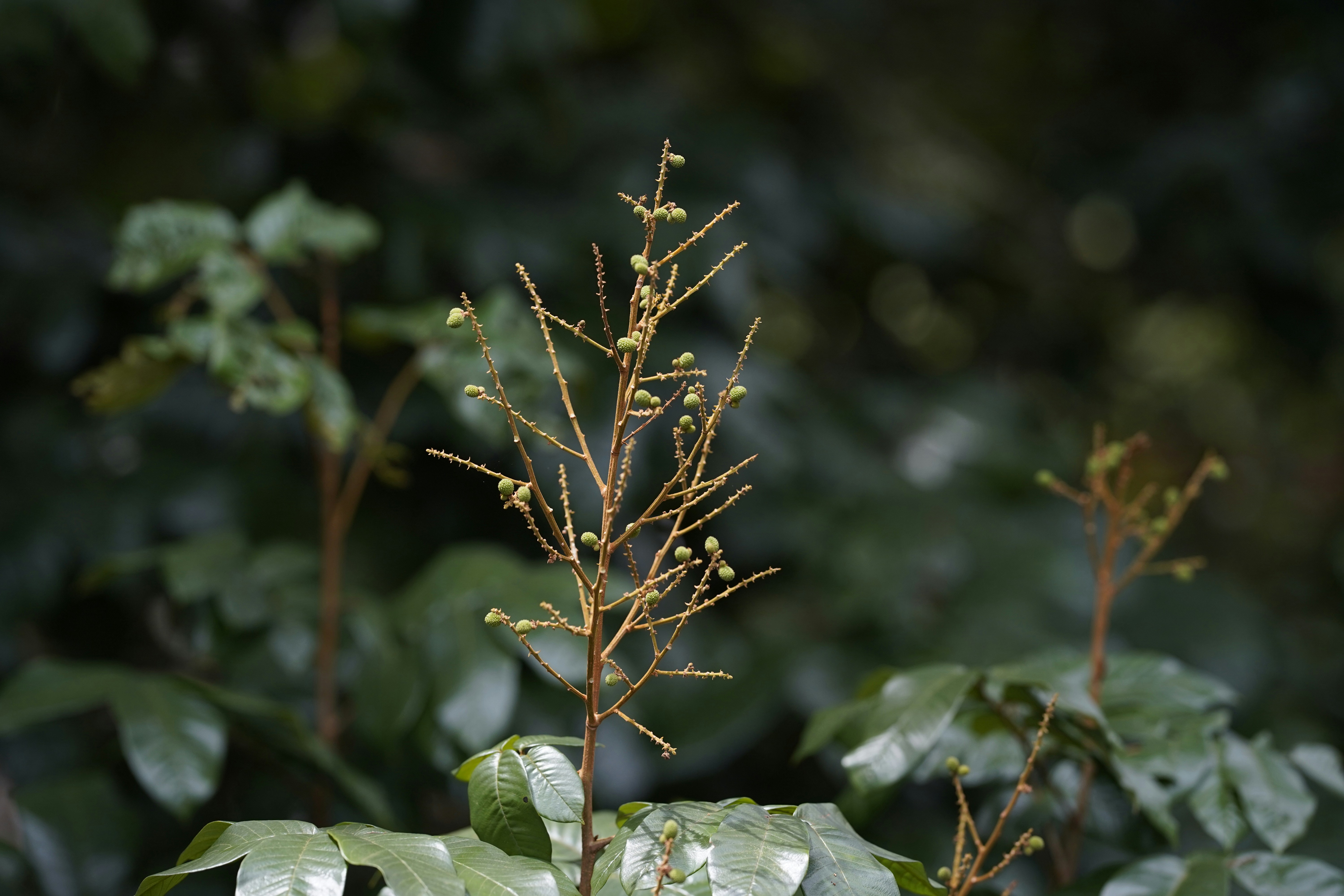 Photo by maryanntoinette