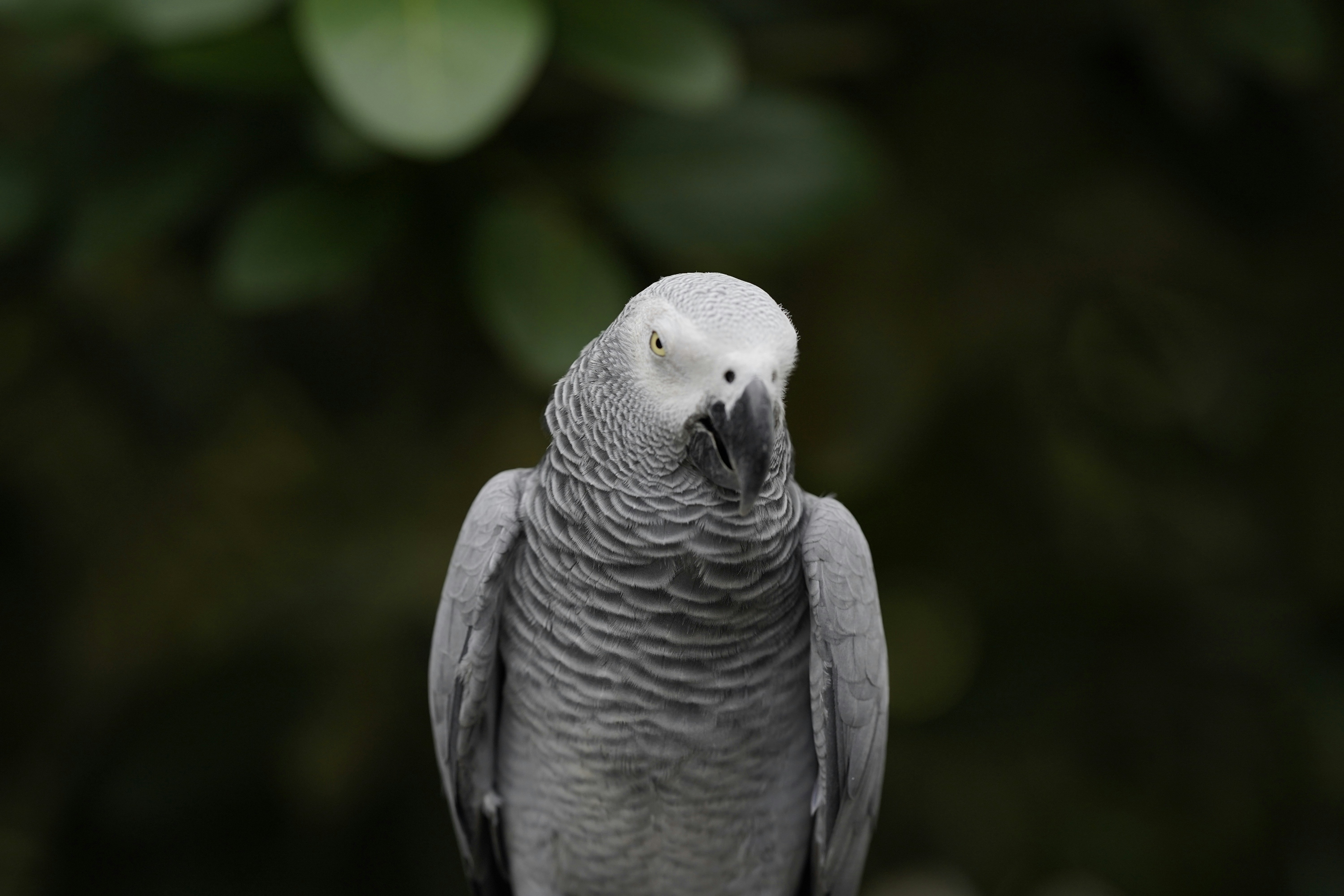 Photo by maryanntoinette