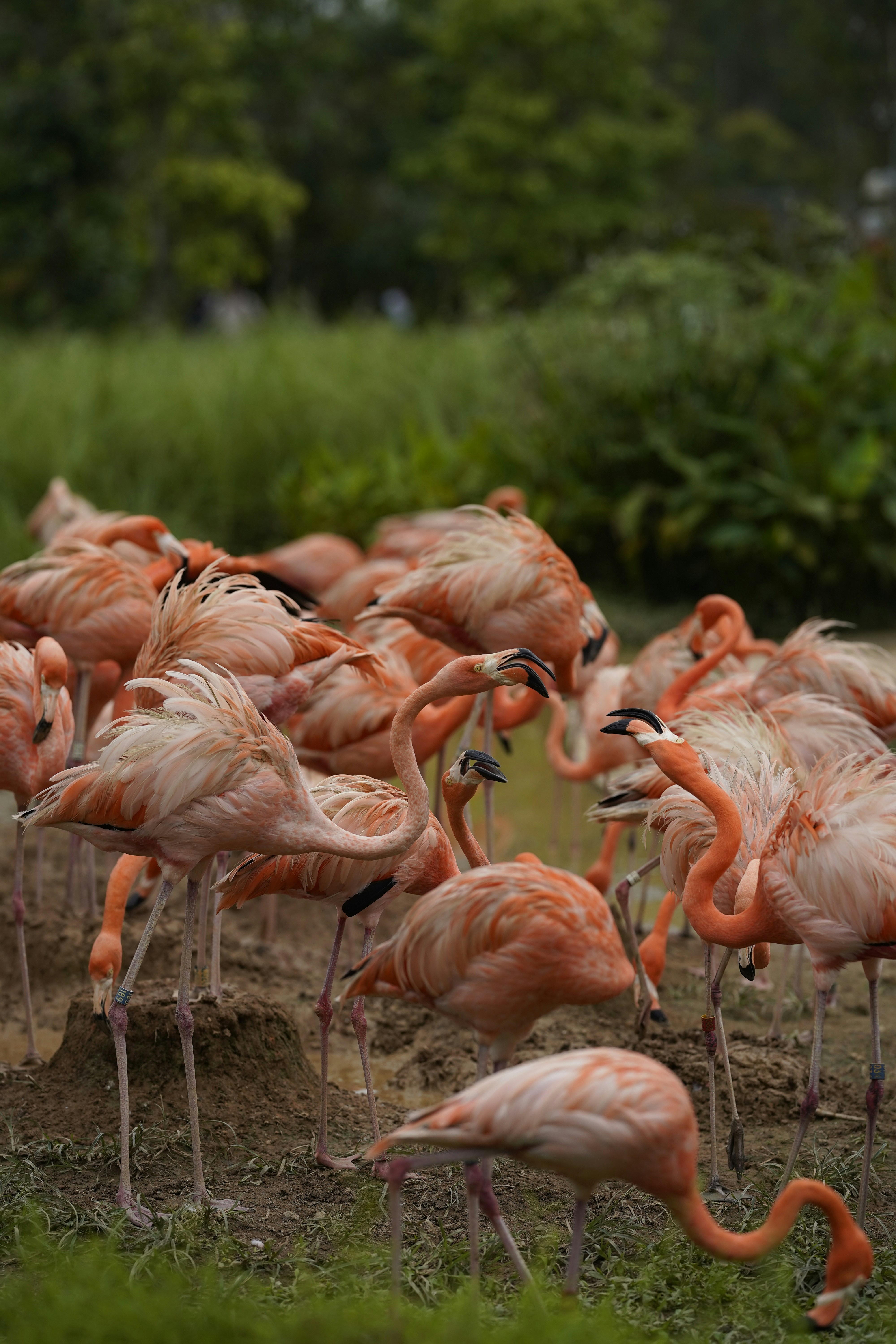 Photo by maryanntoinette