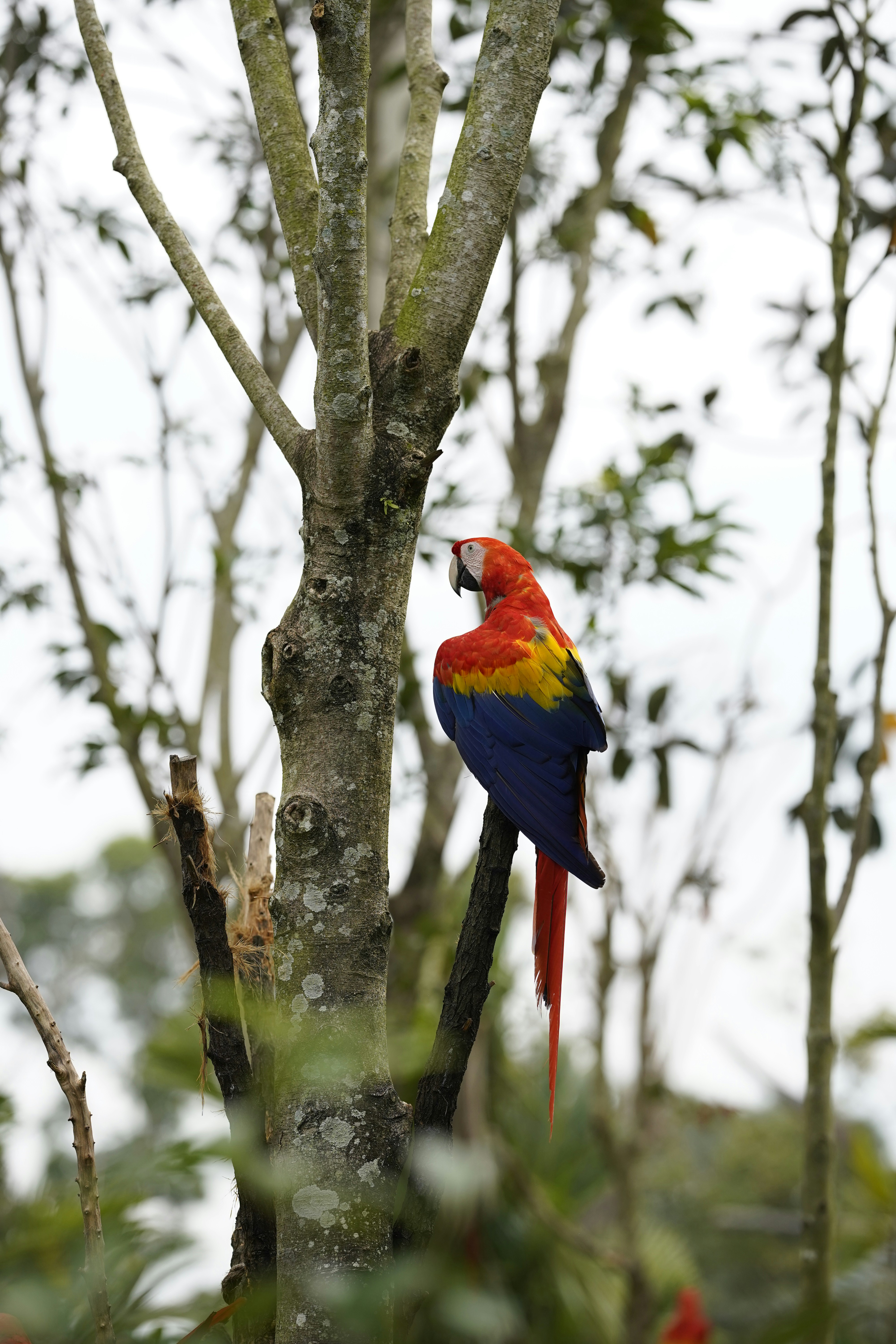 Photo by maryanntoinette