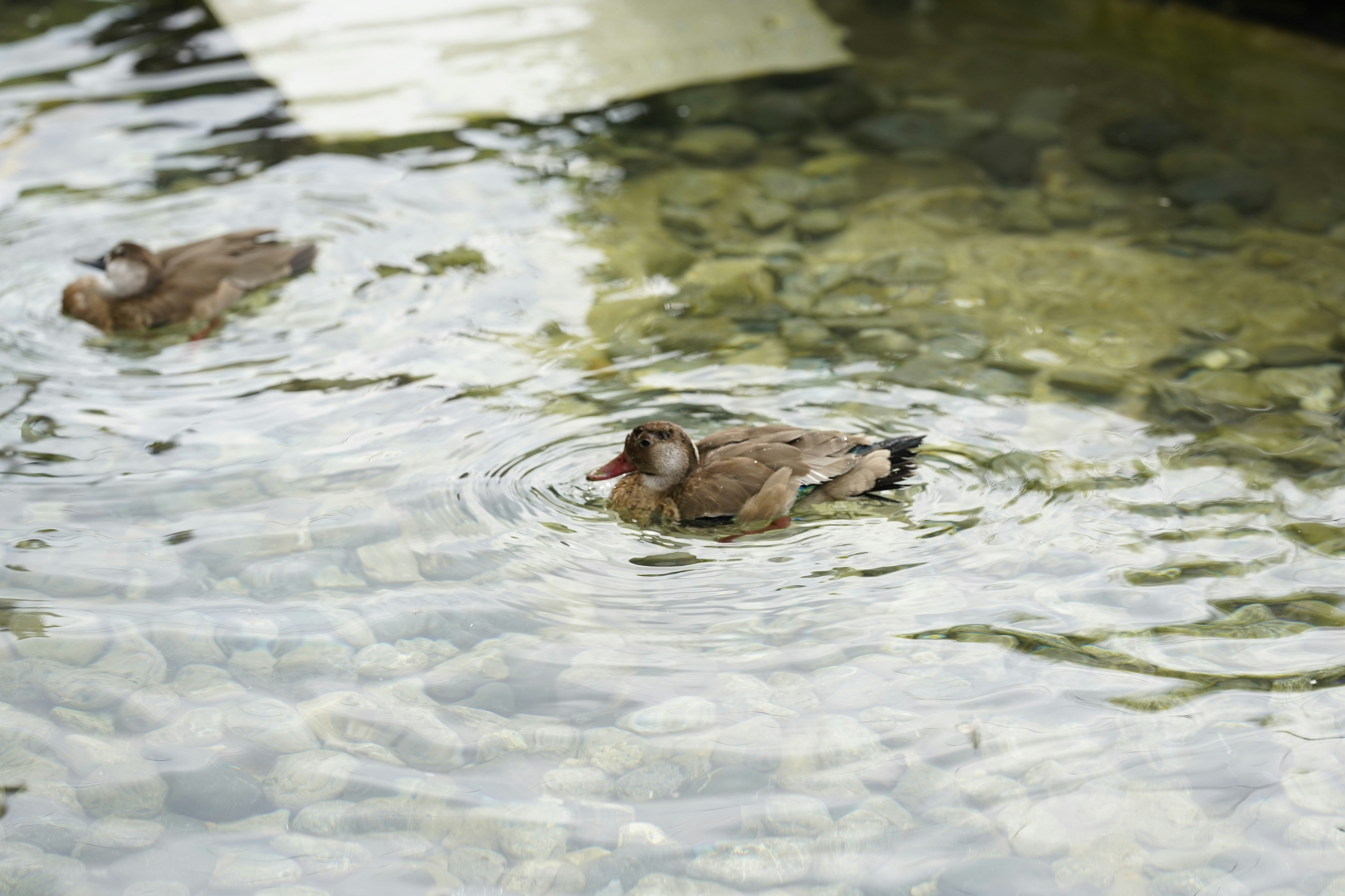 Photo by maryanntoinette